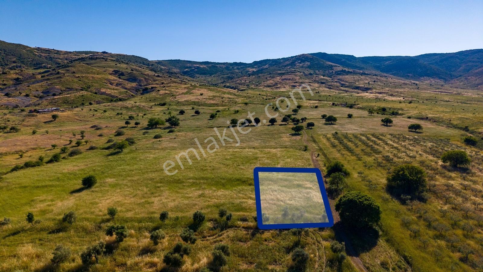 Foça Fevzi Çakmak Mah. Müstakil 1460 M2 Satılık Tarla - Görsel 25