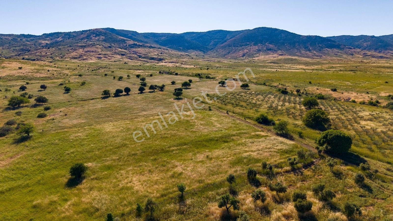 Foça Fevzi Çakmak Mah. Müstakil 1460 M2 Satılık Tarla - Görsel 3