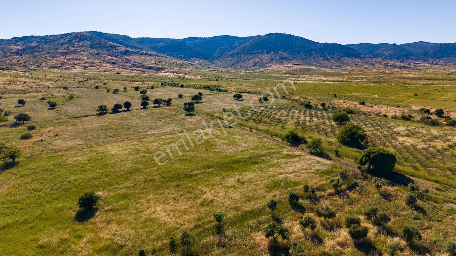Foça Fevzi Çakmak Mah. Müstakil 1460 M2 Satılık Tarla - Görsel 32