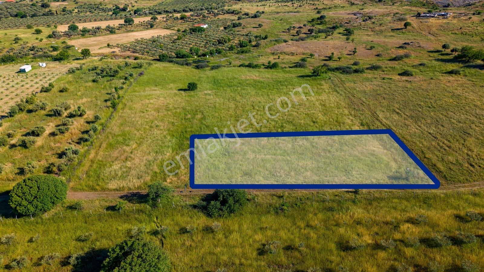 Foça Fevzi Çakmak Mah. Müstakil 1460 M2 Satılık Tarla - Görsel 6
