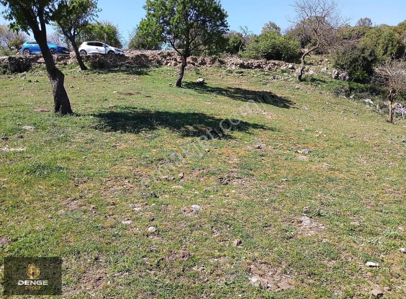 Bergama Da Köy İçi İmarlı Arsa - Görsel 5