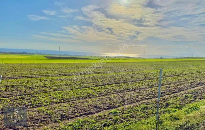 Hem Keyif İçin Hem De Yatırım İçin En Doğru Karar 1+1 Konteynır - Görsel 12