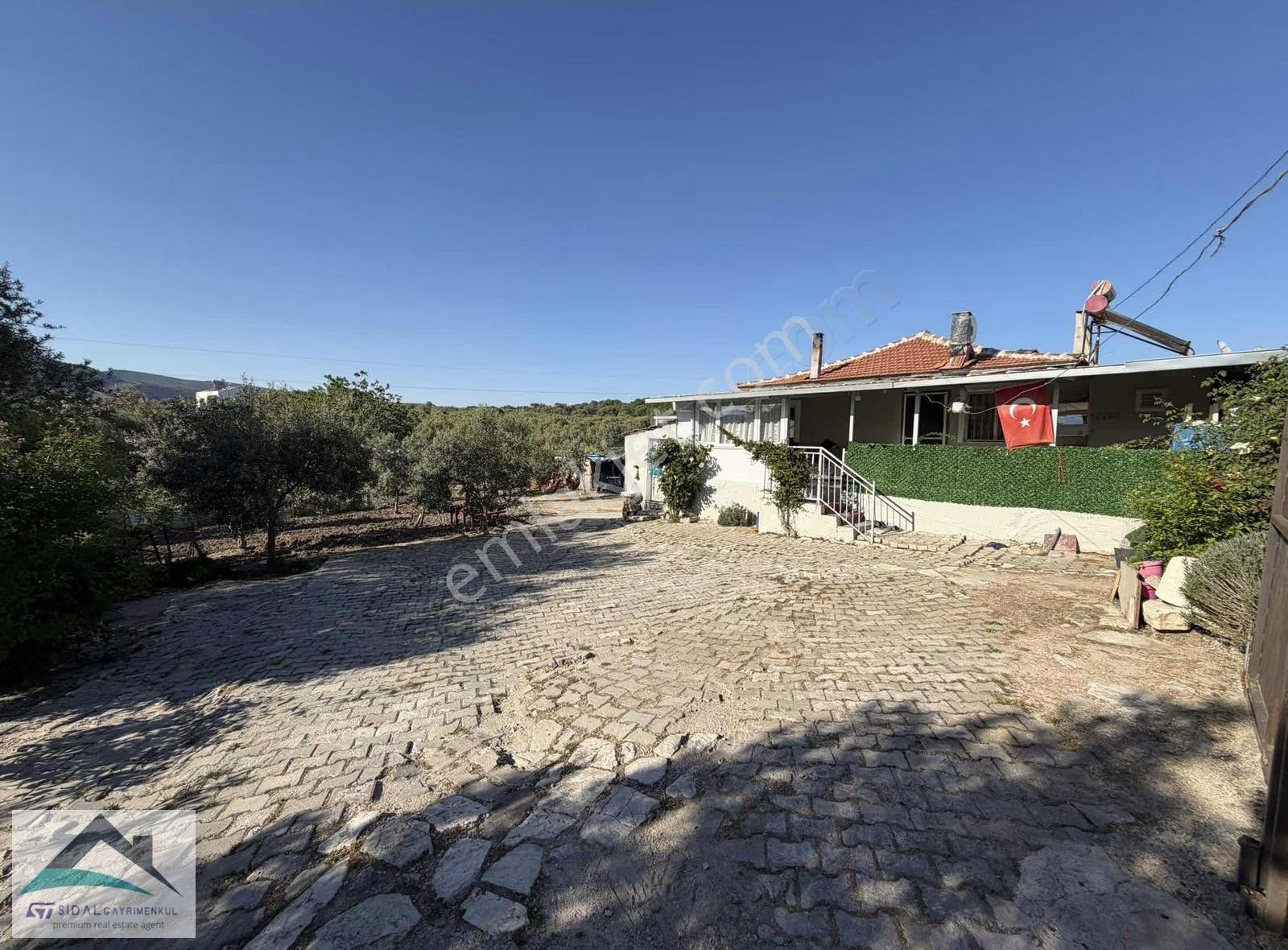 Şehzadeler Halıtlıda Manisaya 22 Km. 1.100m2 Satılık Köy Evi - Görsel 27