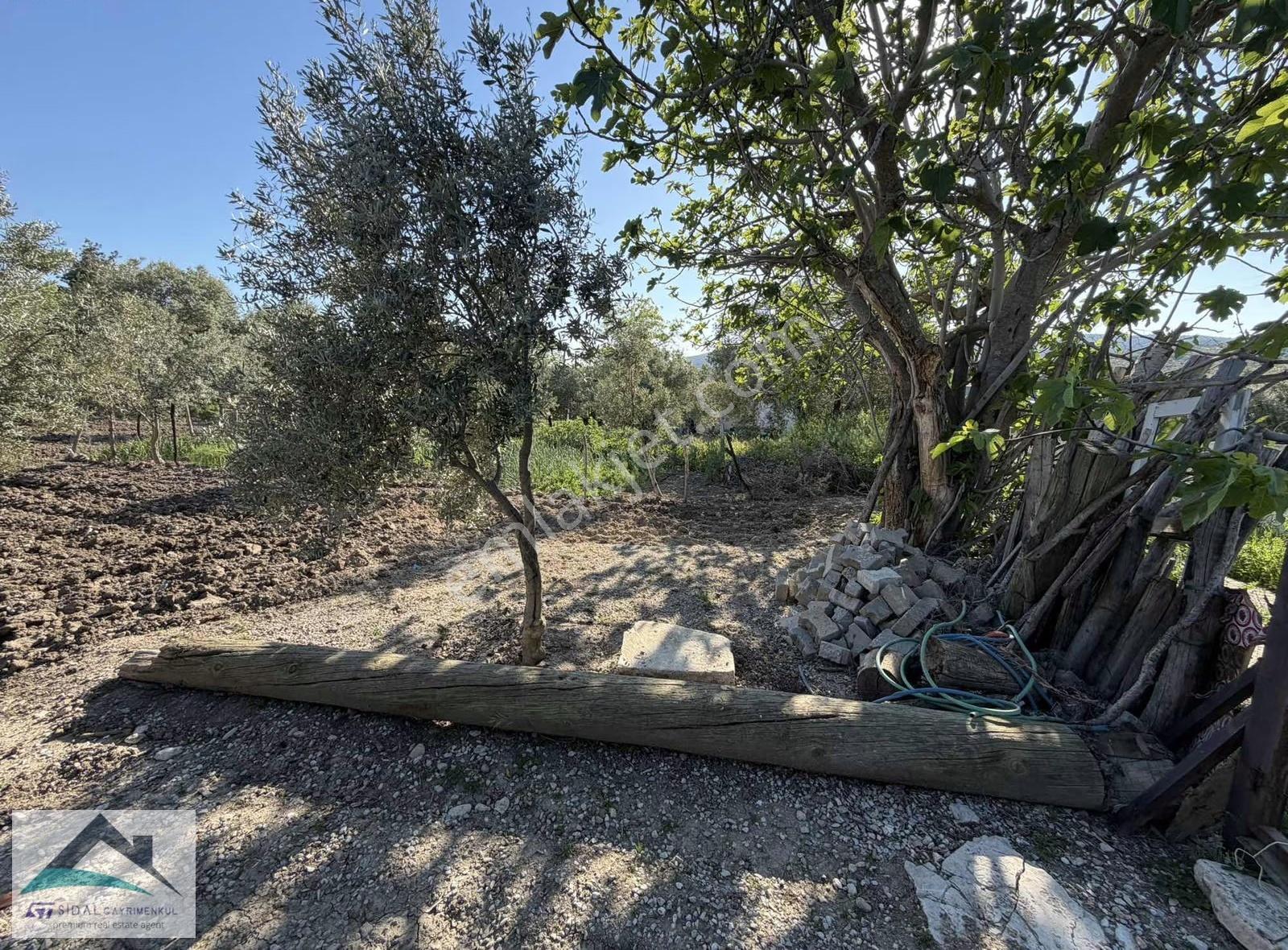 Şehzadeler Halıtlıda Manisaya 22 Km. 1.100m2 Satılık Köy Evi - Görsel 33