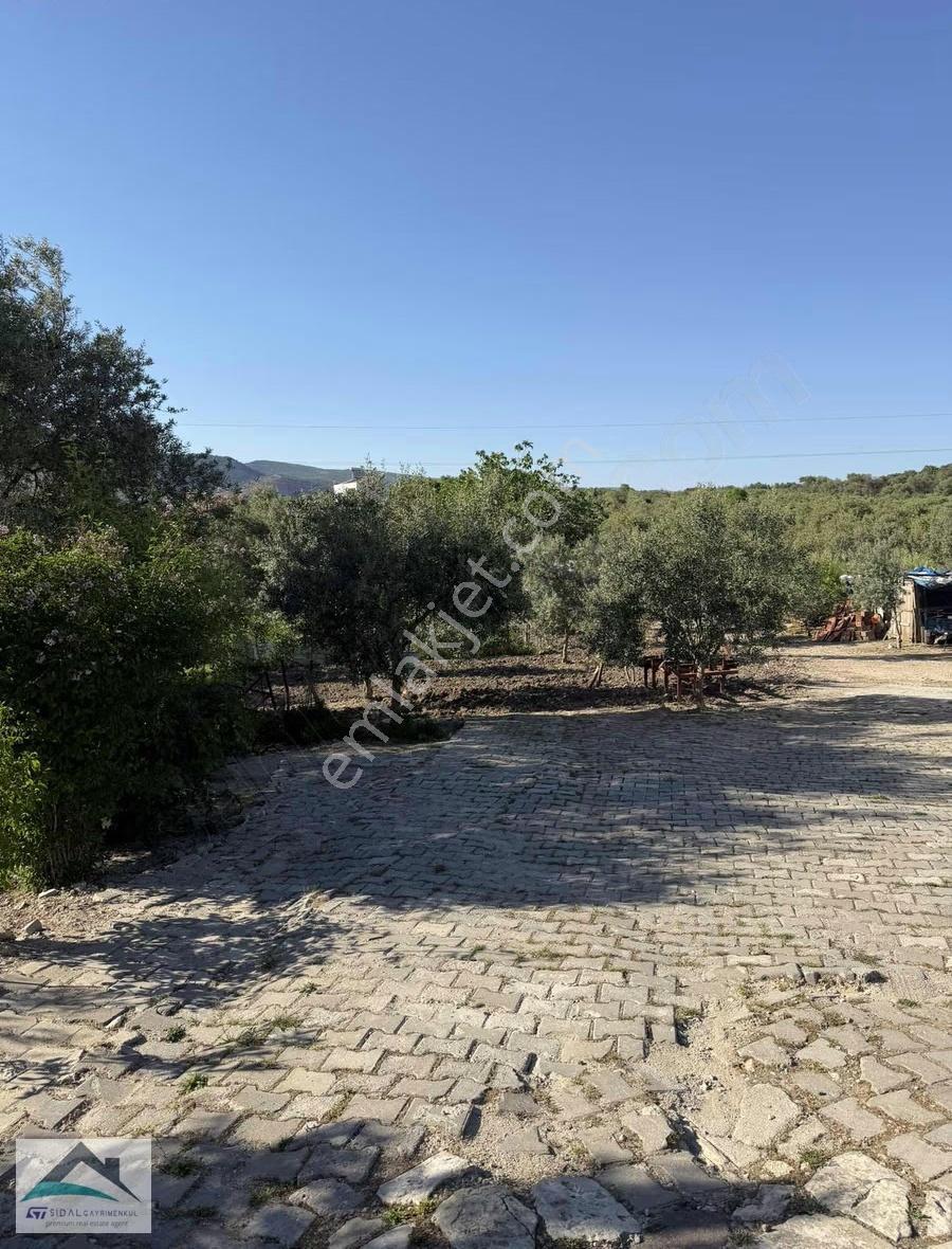 Şehzadeler Halıtlıda Manisaya 22 Km. 1.100m2 Satılık Köy Evi - Görsel 28
