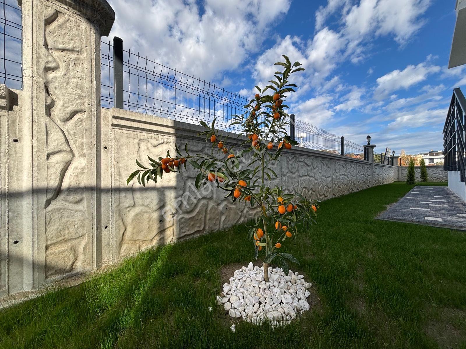 ▀▄mera Emlaktan Zeytinlide Özel Fırsat 3+1 190m2 Ultralüx Villa - Görsel 4