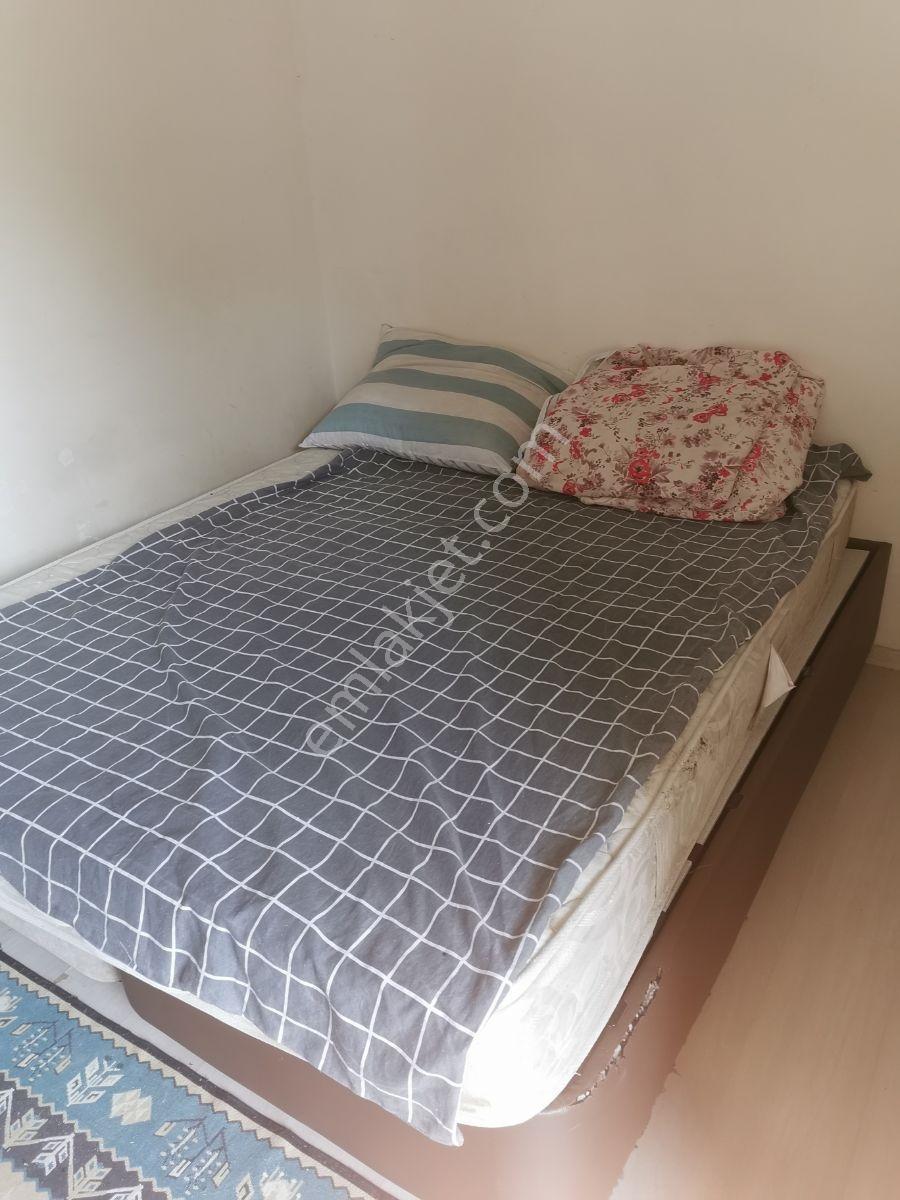 Seyrek De 1+1eşyalı Kiracılı - Görsel 2