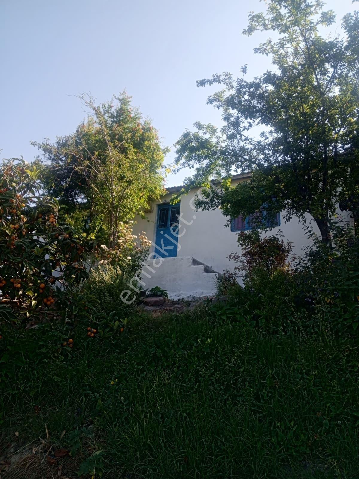 İzmir Kınık Bergama Köyünde Ev & Dam 26.400 M² Verimli Tarla ! - Görsel 9