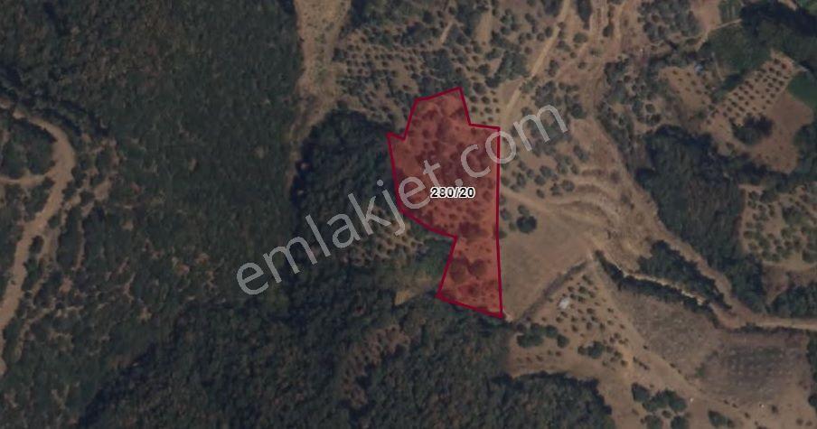 Turpa Lotus'tan Ödemiş Çamlıca'da 4.308 M2 Satılık Tarla
