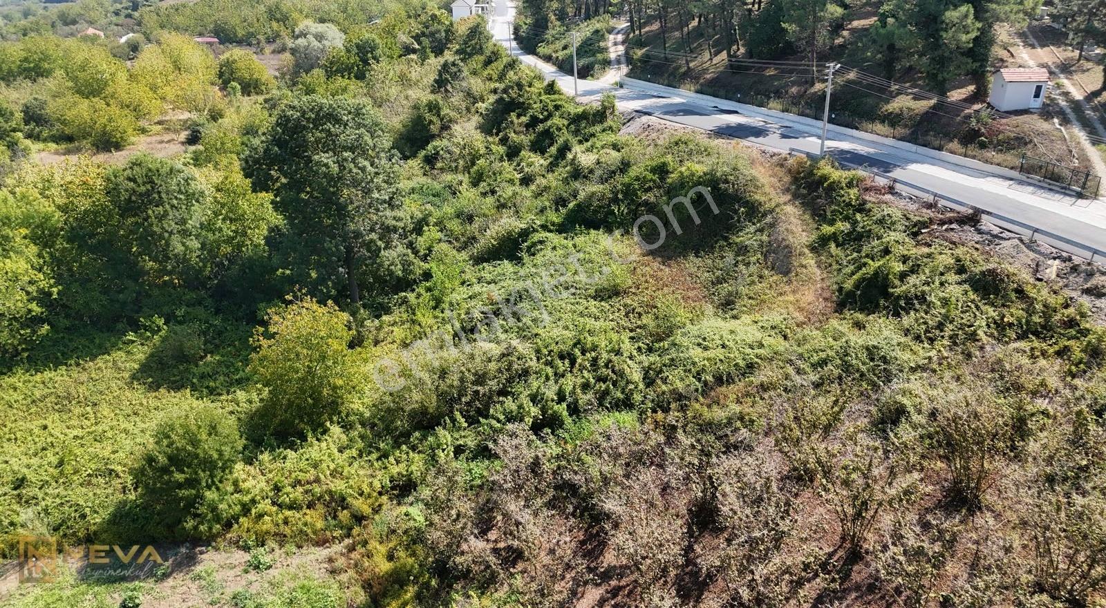 Serdivan Çubuklu Mah. Asfalt Yol Kenarı 1686 M2 Satılık Tarla - Görsel 7