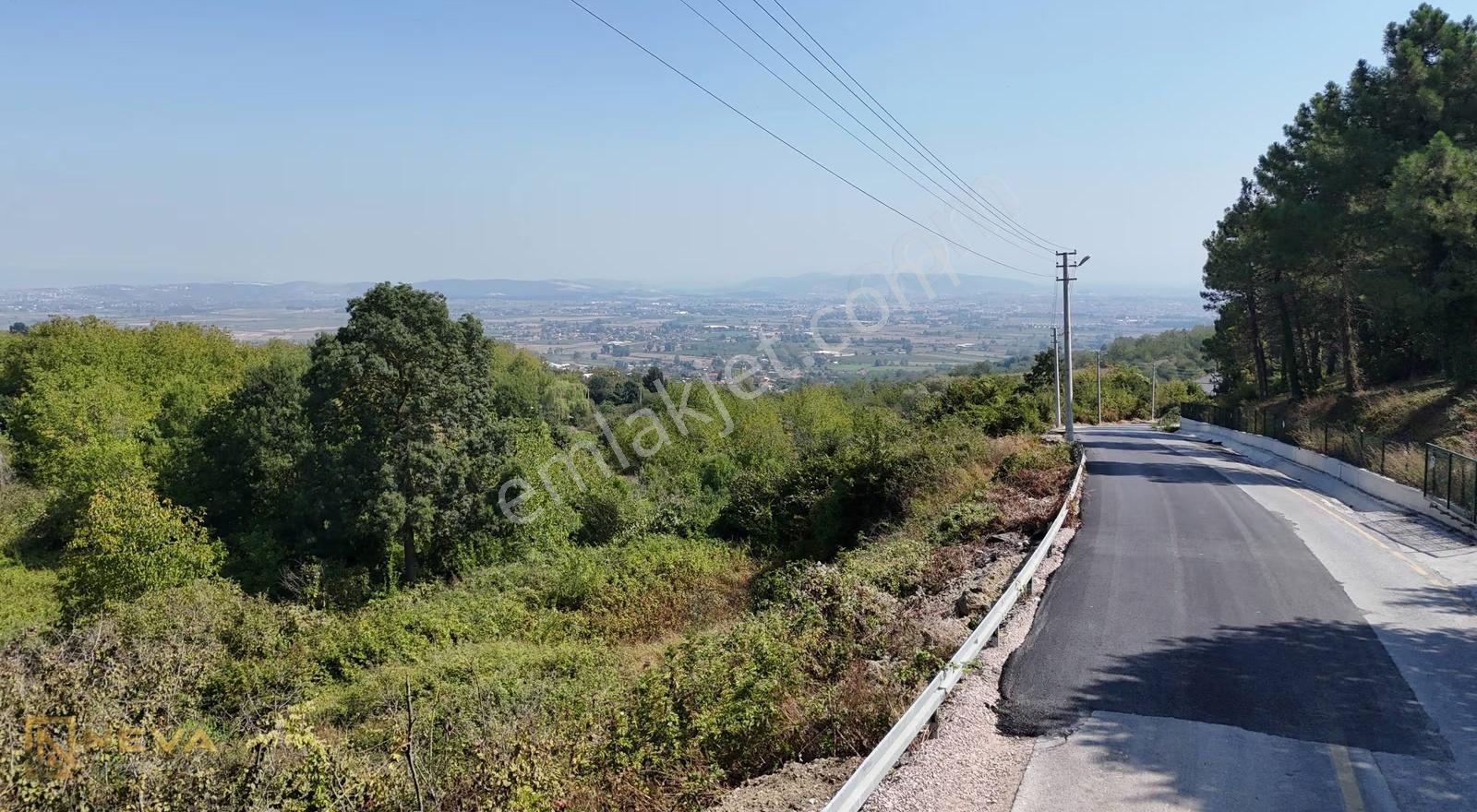 Serdivan Çubuklu Mah. Asfalt Yol Kenarı 1686 M2 Satılık Tarla - Görsel 4