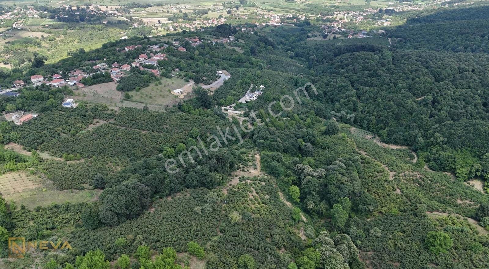 Serdivan Meşeli Mah. Satılık 10822 M2 Yatırımlık Tarla - Görsel 2