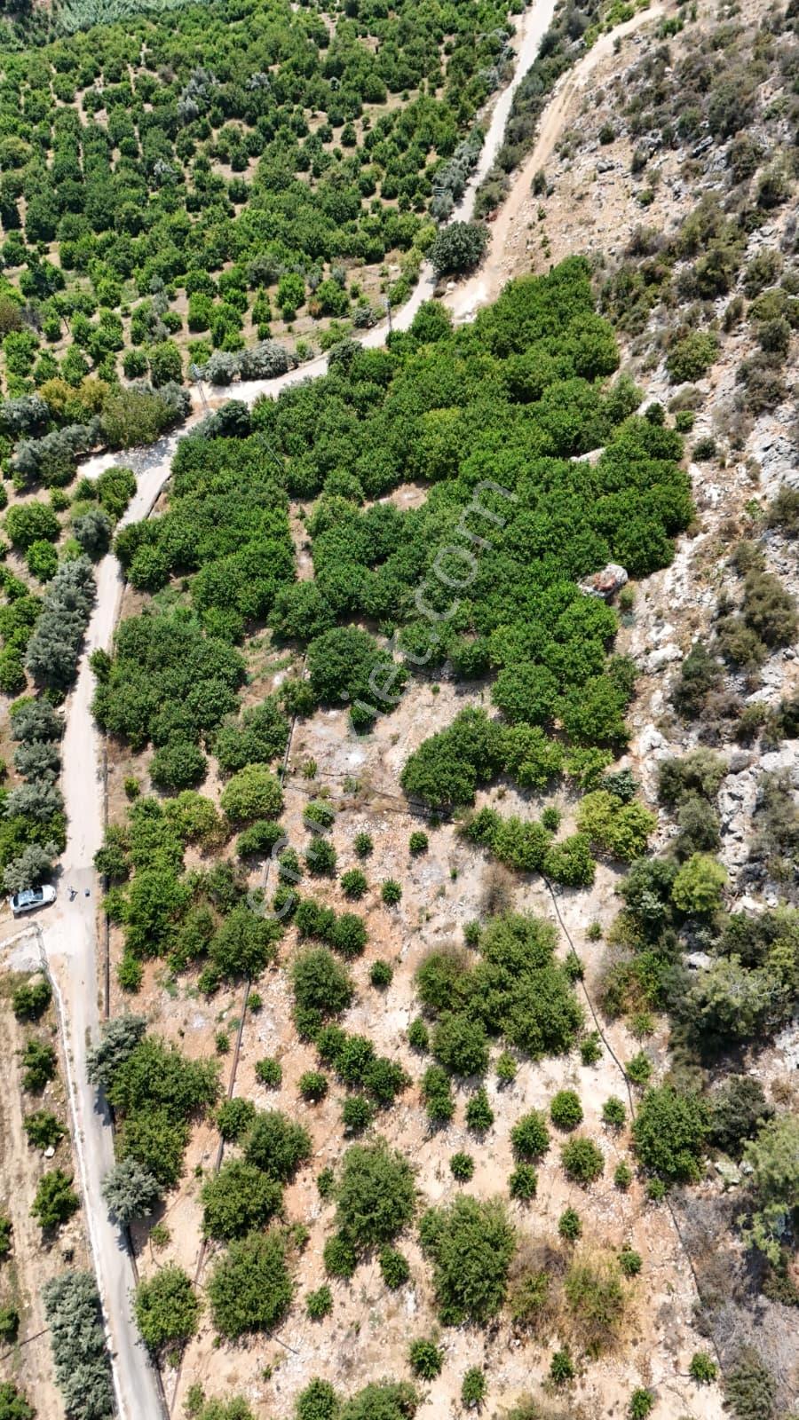 Thor'dan Satılık Erdemli Çiftepınarda 529m2 Deniz Manzaralı Arsa - Görsel 8