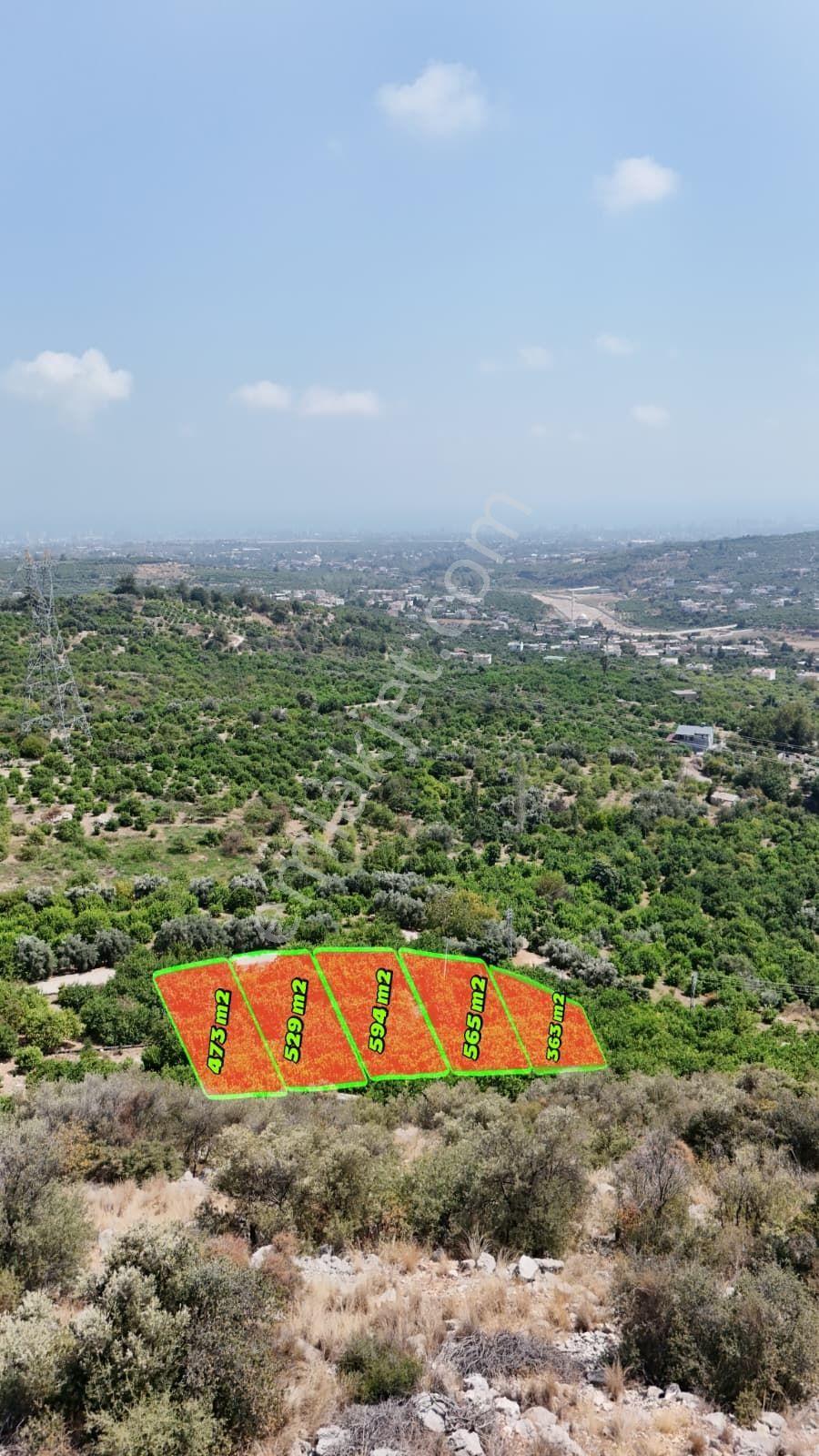 Thor'dan Satılık Erdemli Çiftepınarda 529m2 Deniz Manzaralı Arsa - Görsel 17