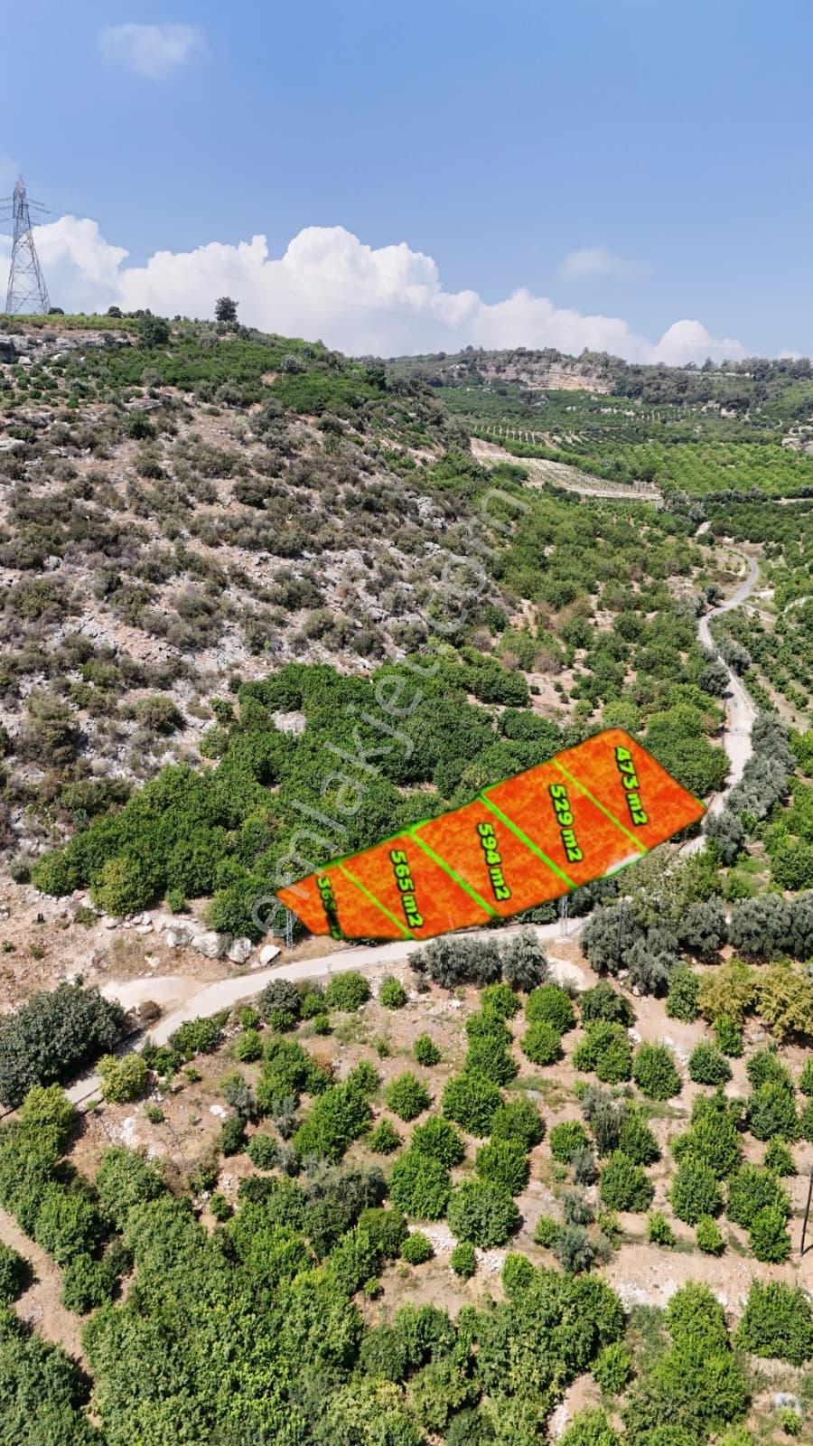 Thor'dan Satılık Erdemli Çiftepınarda 529m2 Deniz Manzaralı Arsa - Görsel 3