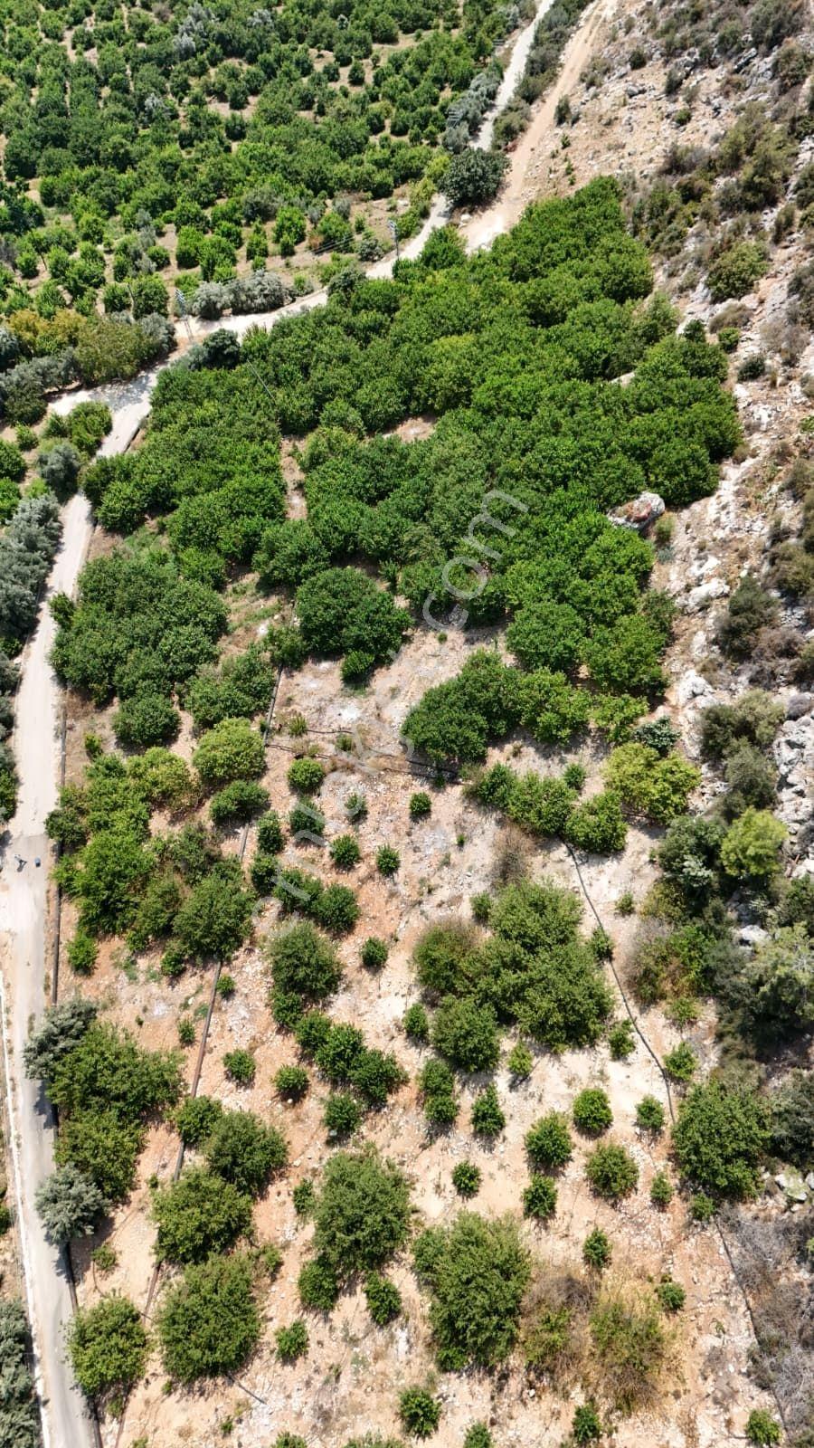Thor'dan Satılık Erdemli Çiftepınarda 529m2 Deniz Manzaralı Arsa - Görsel 18