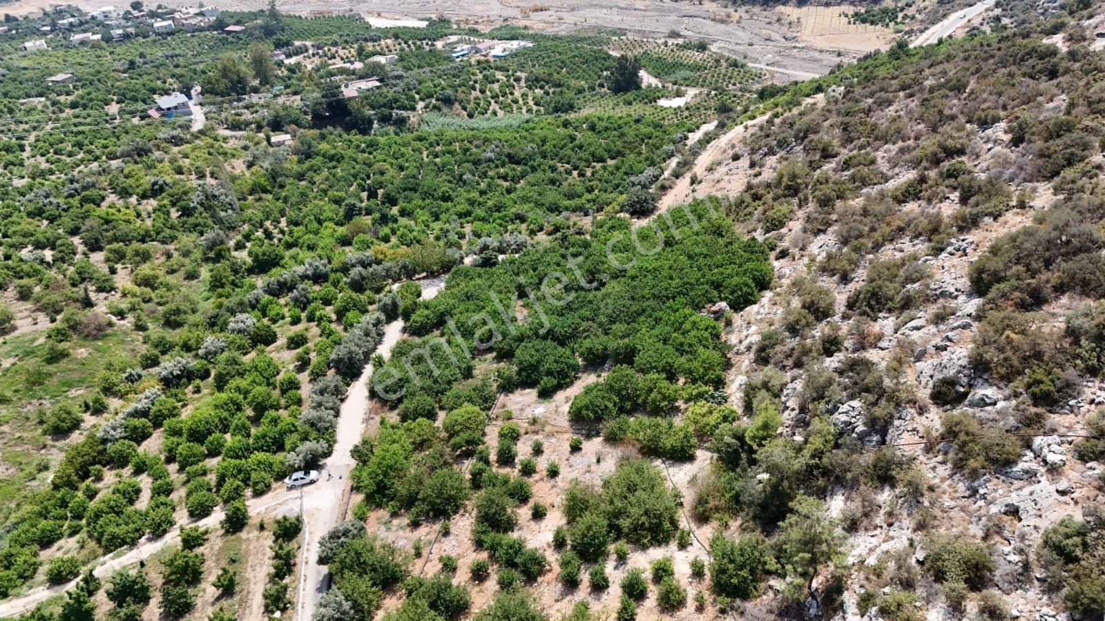Thor'dan Satılık Erdemli Çiftepınarda 529m2 Deniz Manzaralı Arsa - Görsel 27