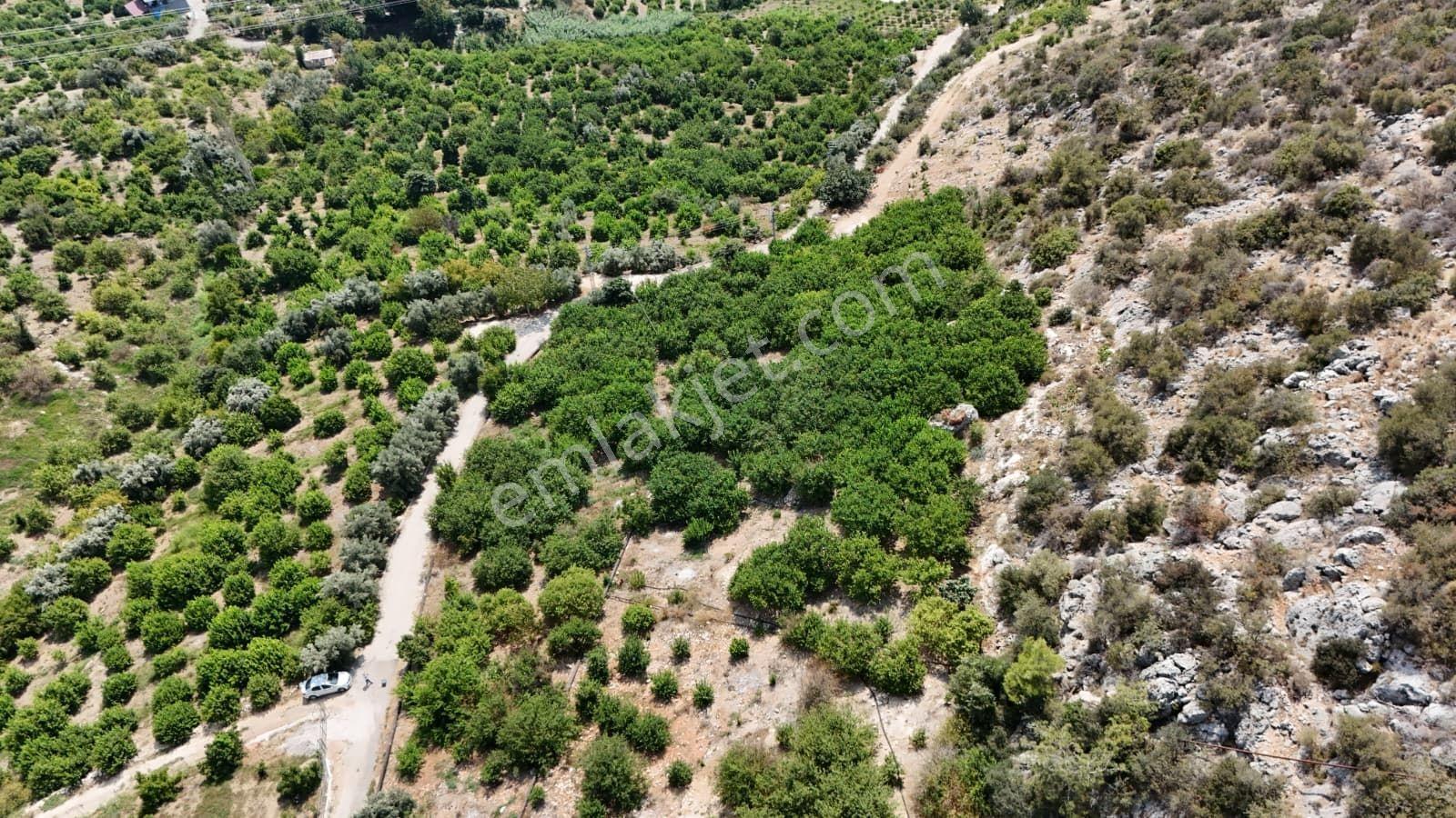 Çiftepınar'da Satılık 2.051m2 Deniz Manzaralı |villa İmarlı Arsa - Görsel 2