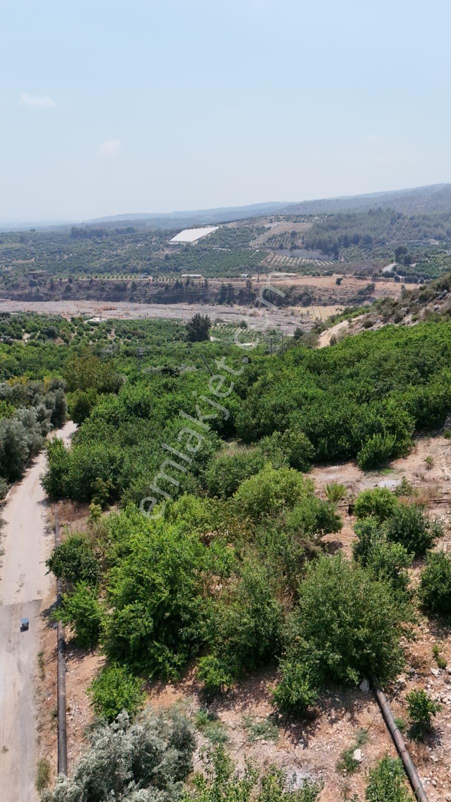 Çiftepınar'da Satılık 2.051m2 Deniz Manzaralı |villa İmarlı Arsa - Görsel 27