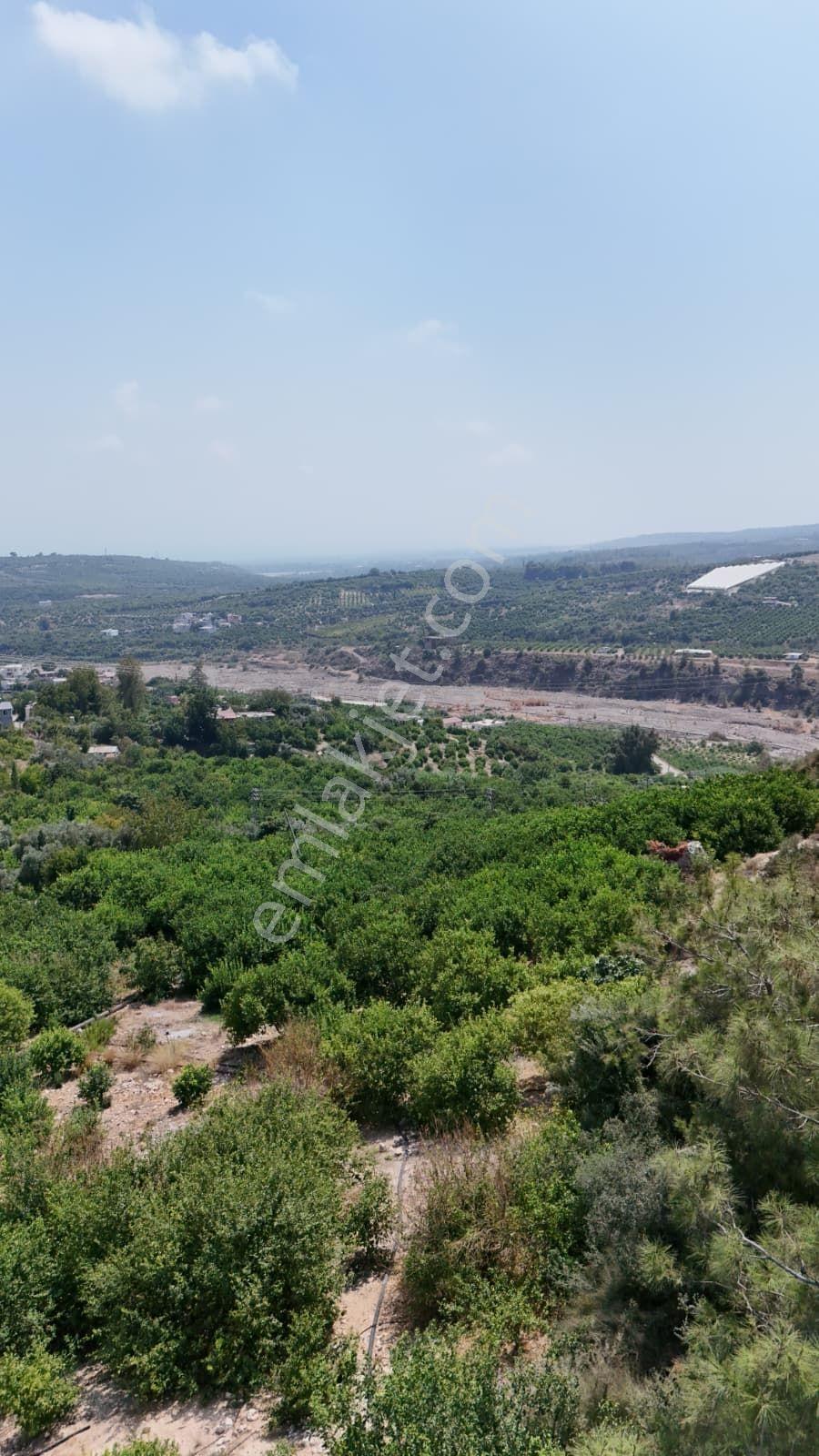 Çiftepınar'da Satılık 2.051m2 Deniz Manzaralı |villa İmarlı Arsa - Görsel 54