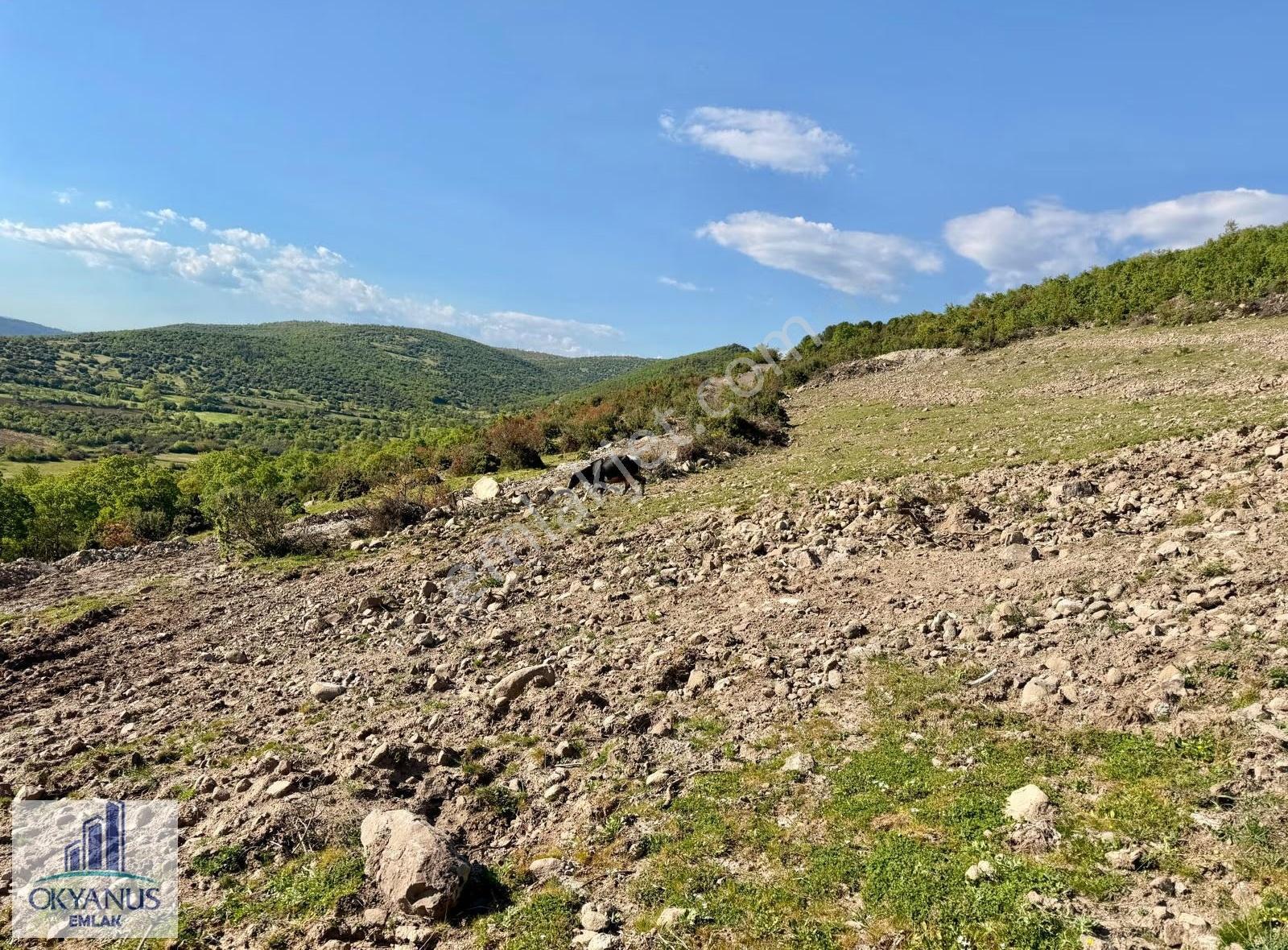Recepli De 4.200 M2 , Tek Tapu , Köye Yakın - Görsel 24