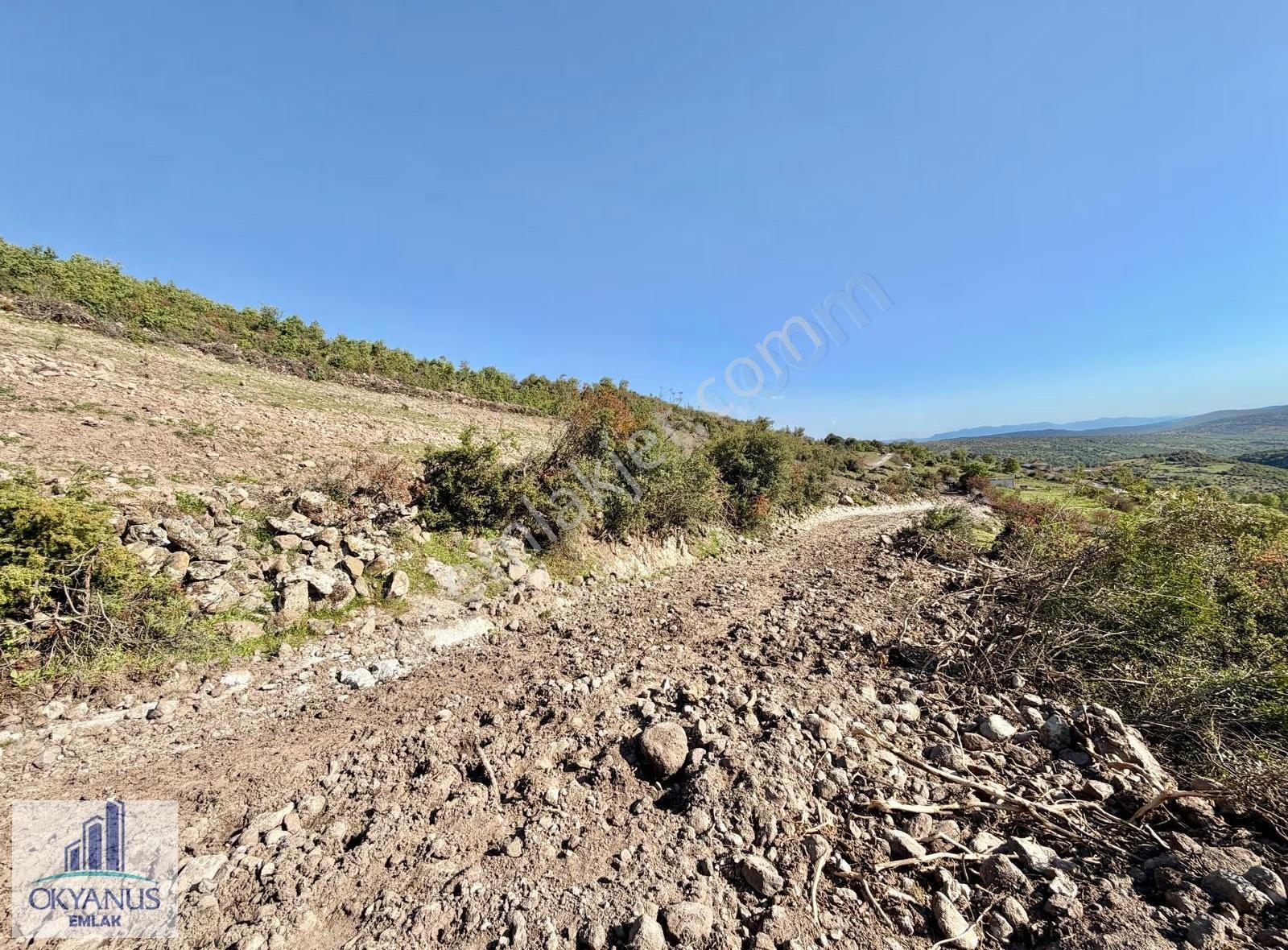 Recepli De 4.200 M2 , Tek Tapu , Köye Yakın - Görsel 8