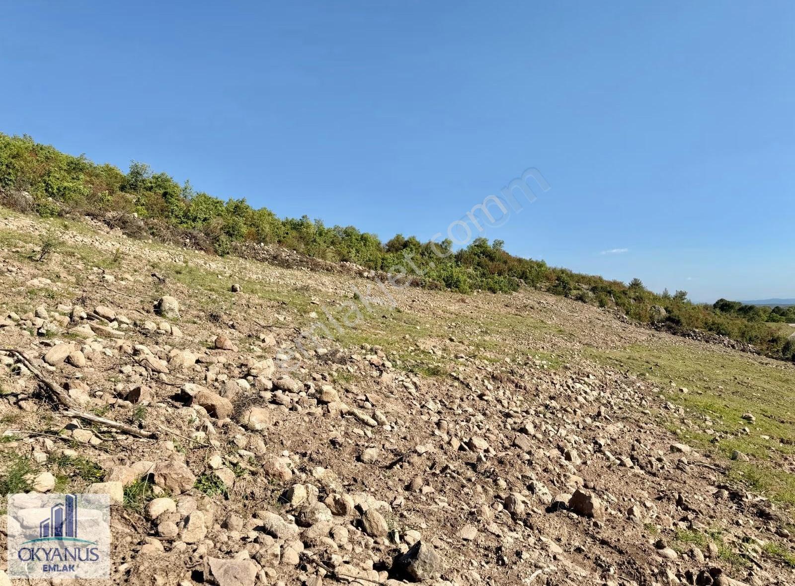 Recepli De 4.200 M2 , Tek Tapu , Köye Yakın - Görsel 29