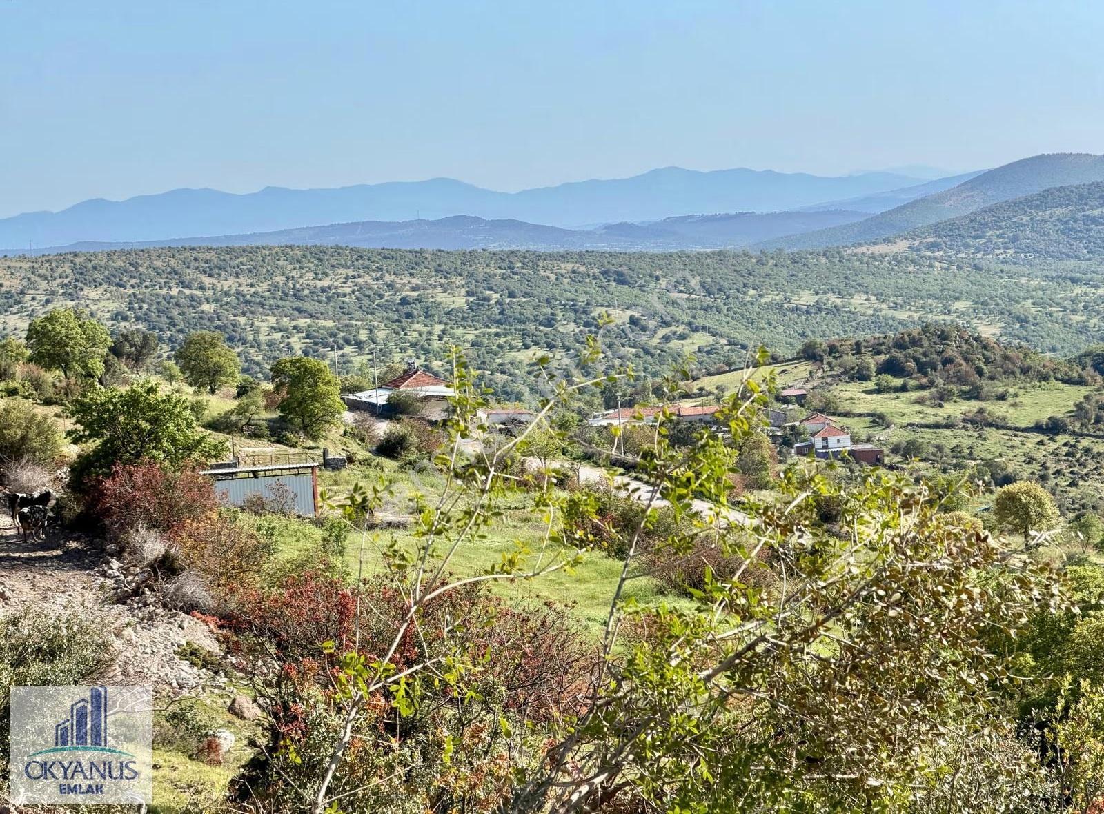 Recepli De 4.200 M2 , Tek Tapu , Köye Yakın - Görsel 15