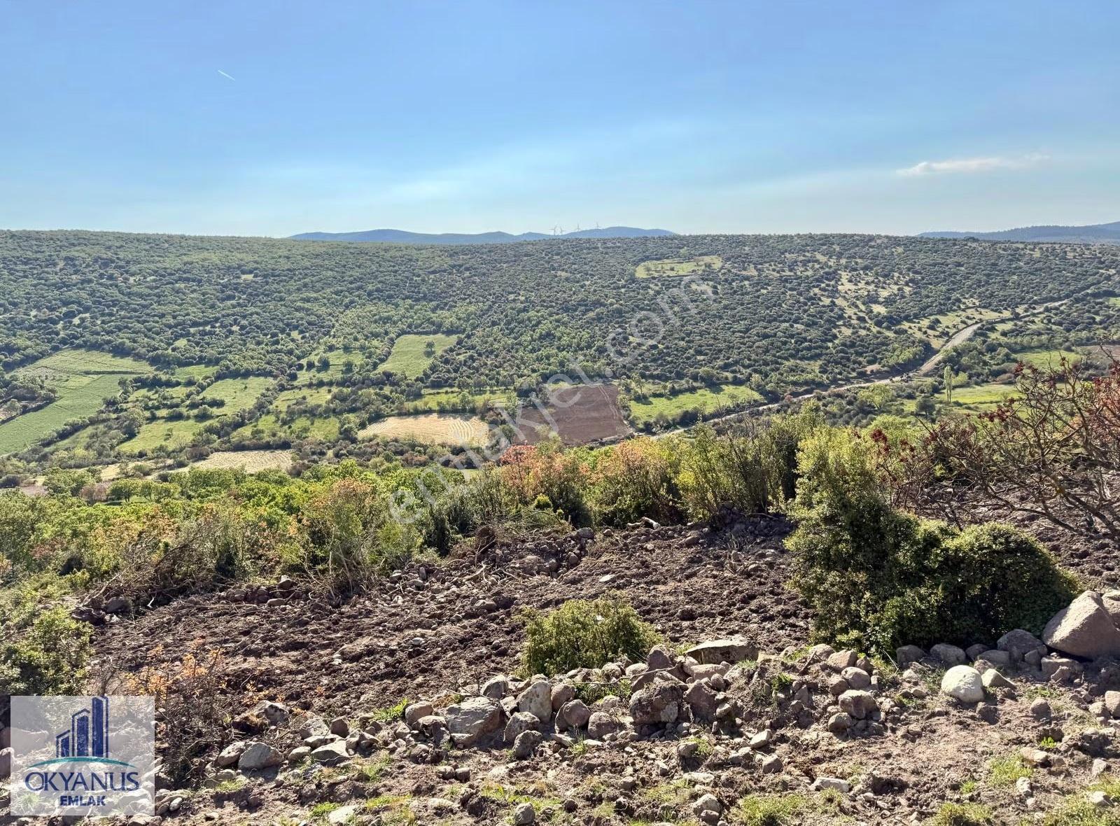 Recepli De 4.200 M2 , Tek Tapu , Köye Yakın - Görsel 5