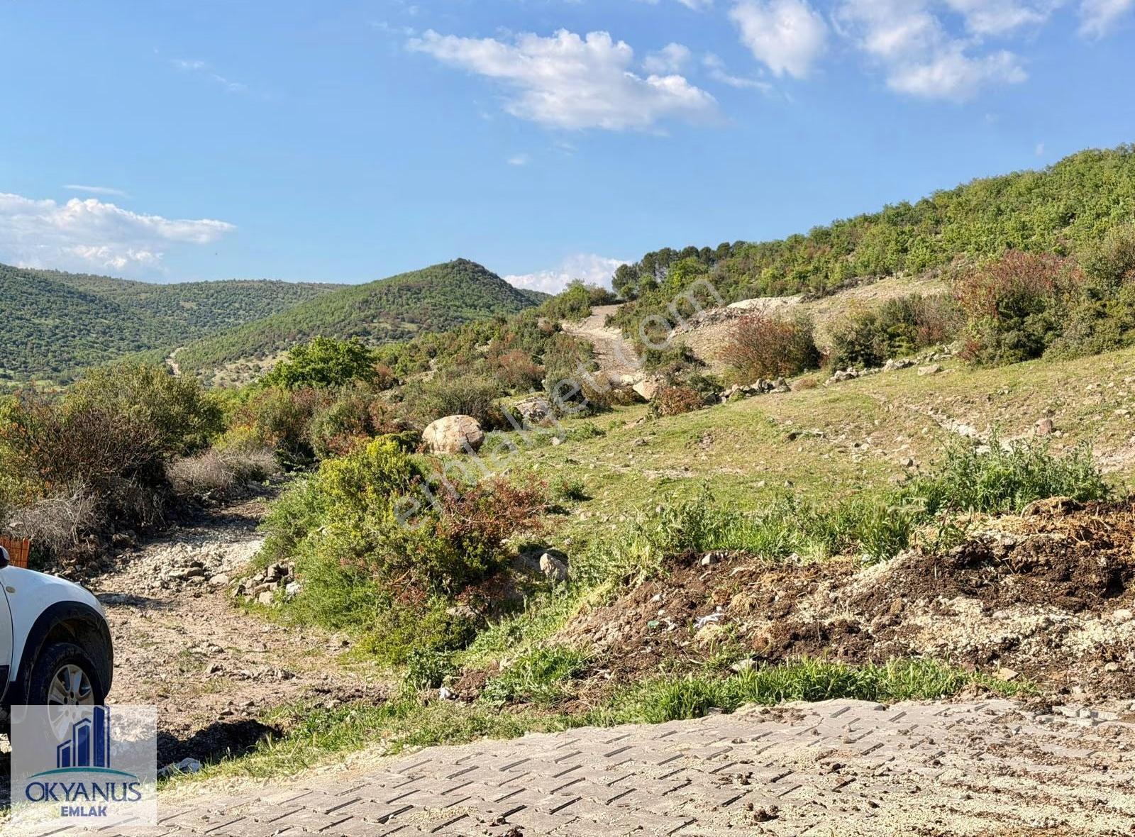 Recepli De 4.200 M2 , Tek Tapu , Köye Yakın - Görsel 21