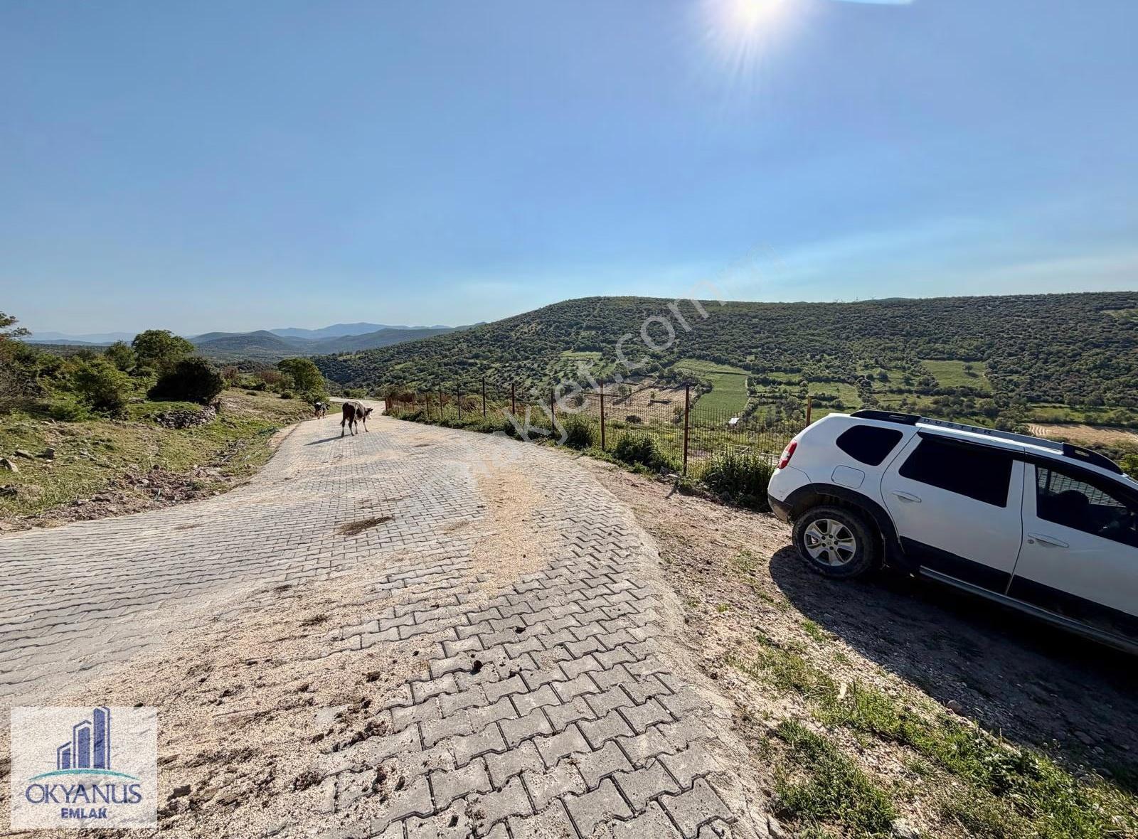 Recepli De 4.200 M2 , Tek Tapu , Köye Yakın - Görsel 22