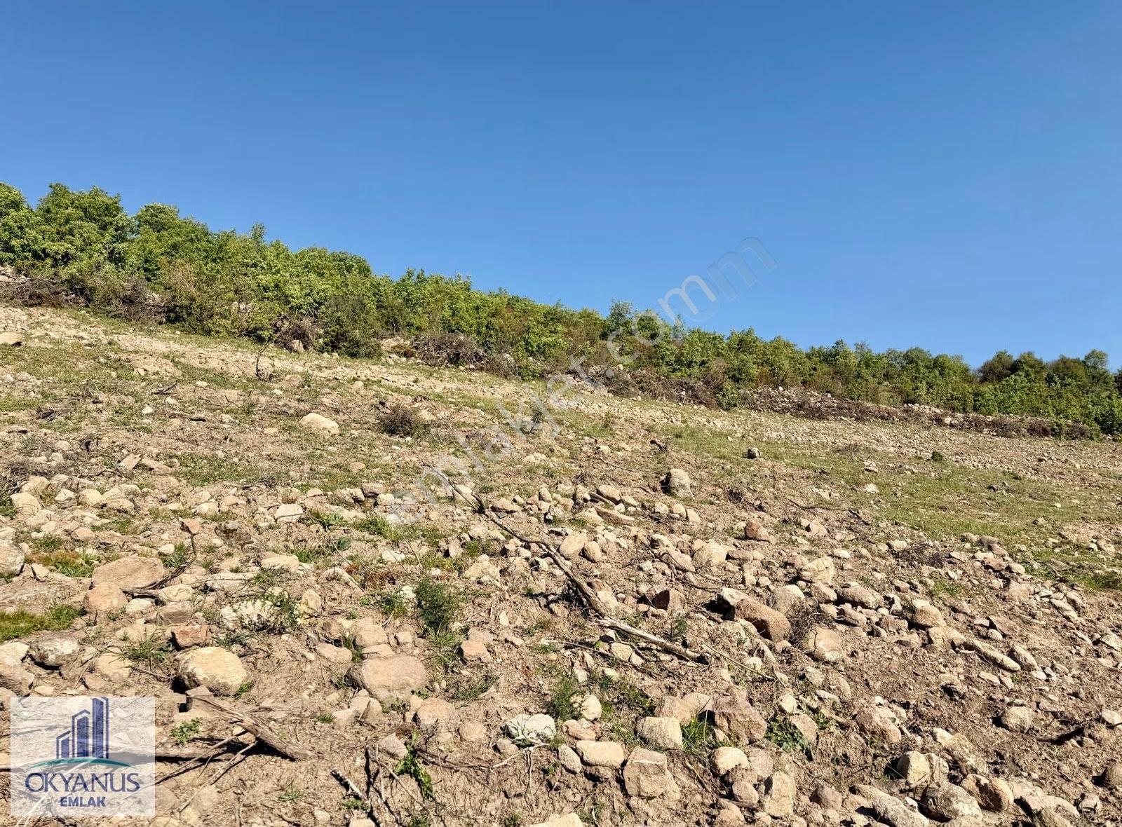 Recepli De 4.200 M2 , Tek Tapu , Köye Yakın - Görsel 9