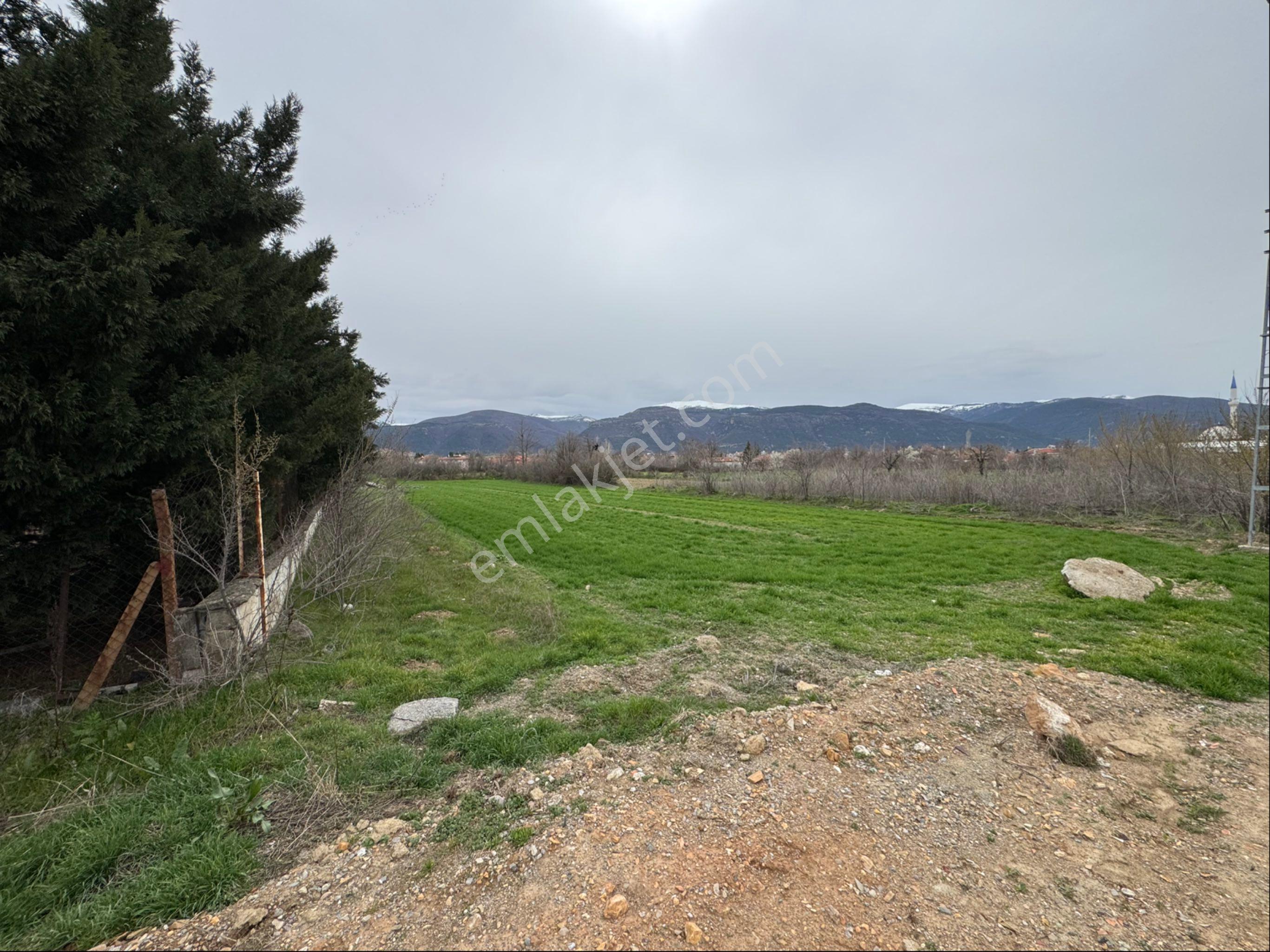 A-k Emlaktan D-300 E Sıfır 2 Parça Toplam 1500 M2 Satılık Arazi - Görsel 7