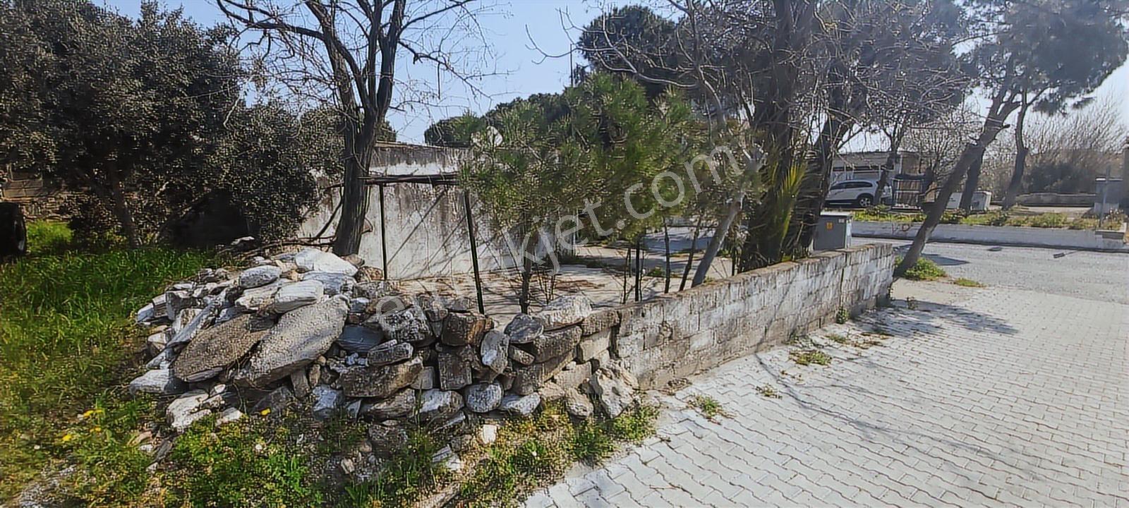 Söke Güllübahçe Mah.de Ticari+konut İmarlı 255 M² Köşe Arsa - Görsel 7