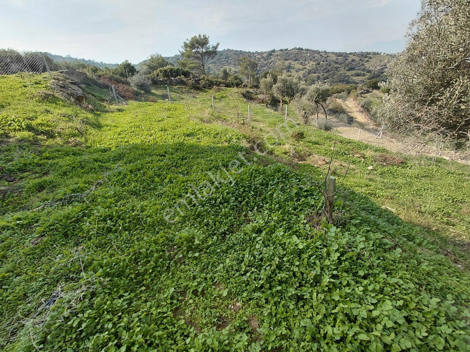 Latmosun Dibinde, Bayırdamında Yatımlık 881 M² Havadar Arsa - Görsel 5
