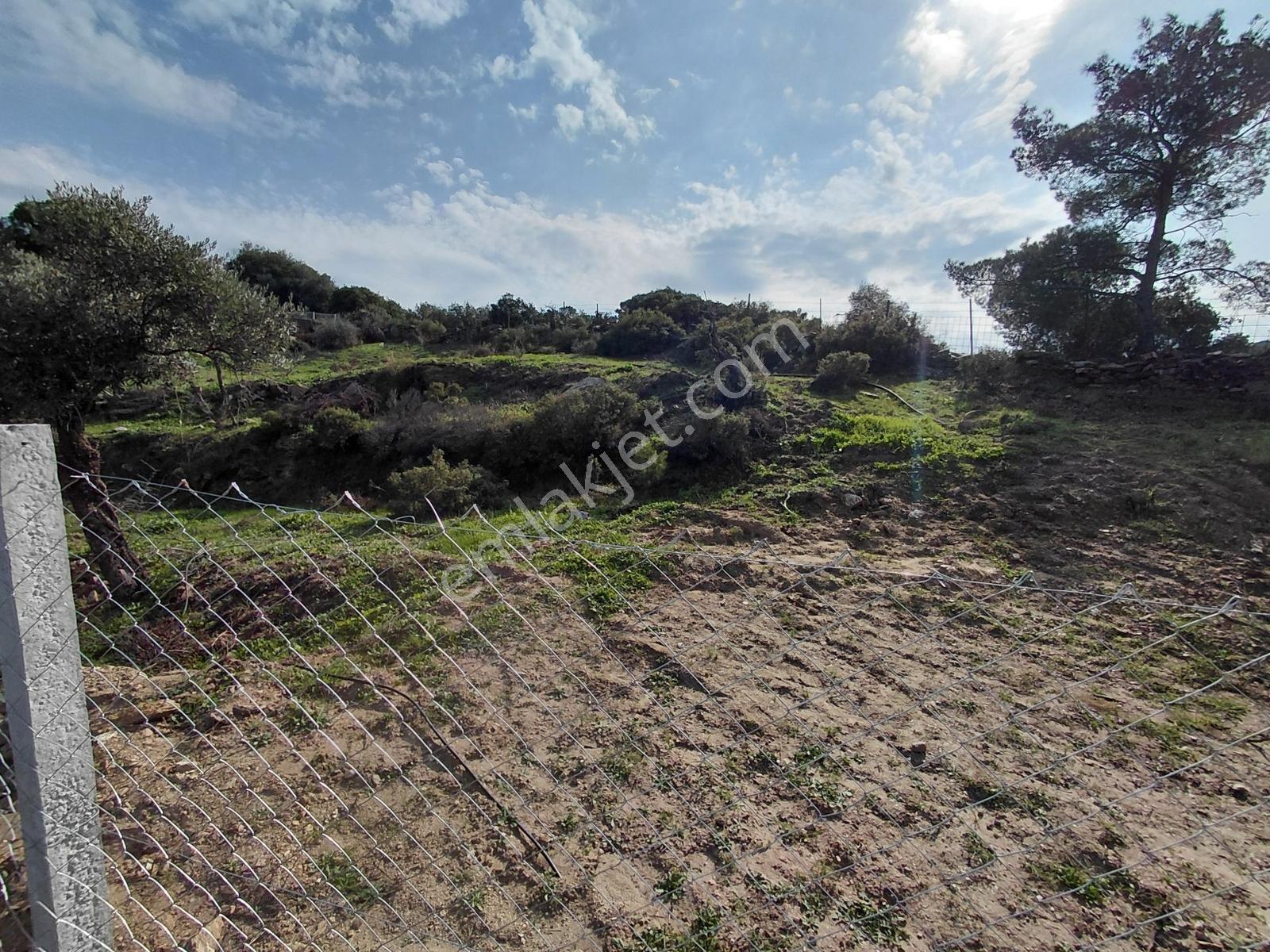 Latmosun Dibinde, Bayırdamında Yatımlık 881 M² Havadar Arsa - Görsel 9