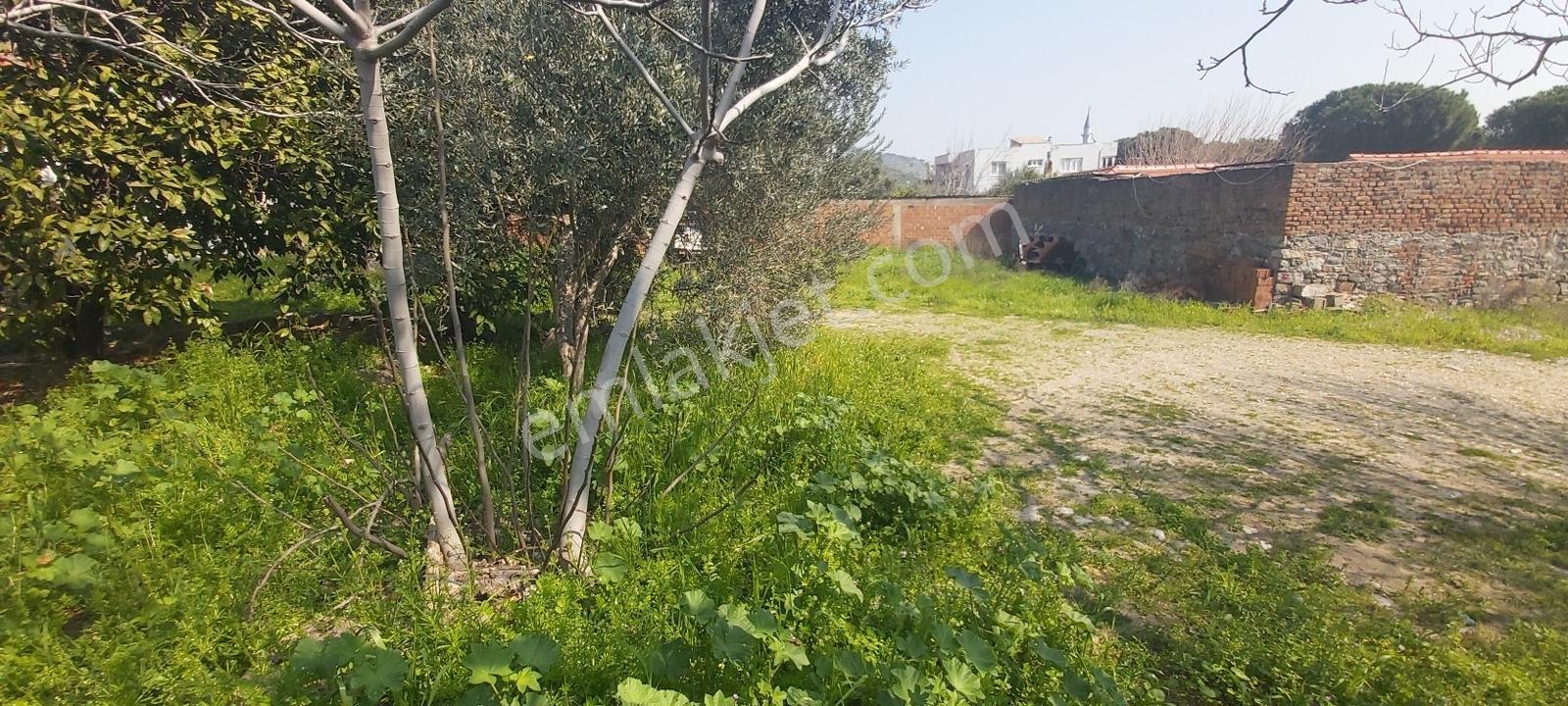 Söke Güllübahçe Mah.de Konut İmarlı 115 M² Arsa - Görsel 7