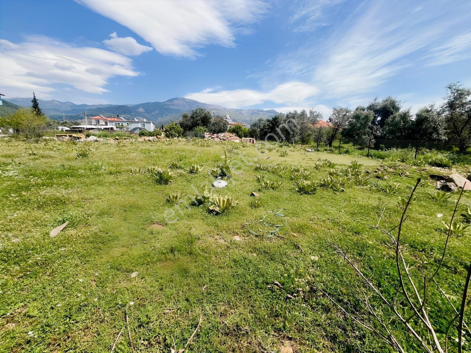 Köyceğiz Toparlarda Satılık İkiz Villa İmarlı Arsa - Görsel 11