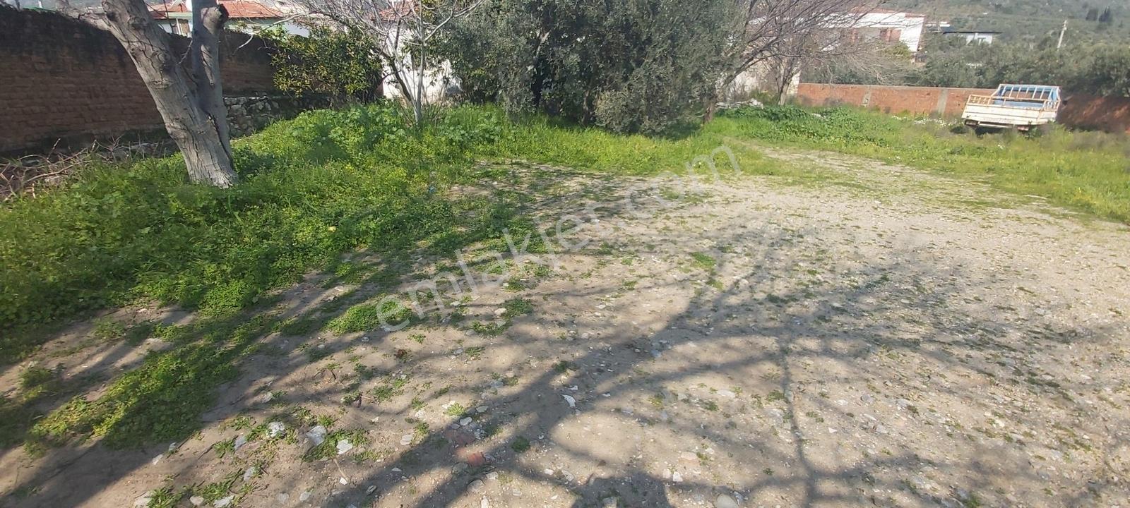 Söke Güllübahçe Mah.de Konut İmarlı 127 M² Arsa - Görsel 5