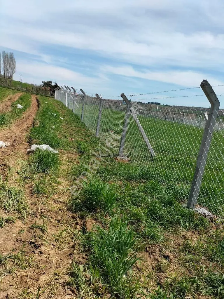 Kula Bayramşah Satılık İmarlı Arsa - Görsel 10