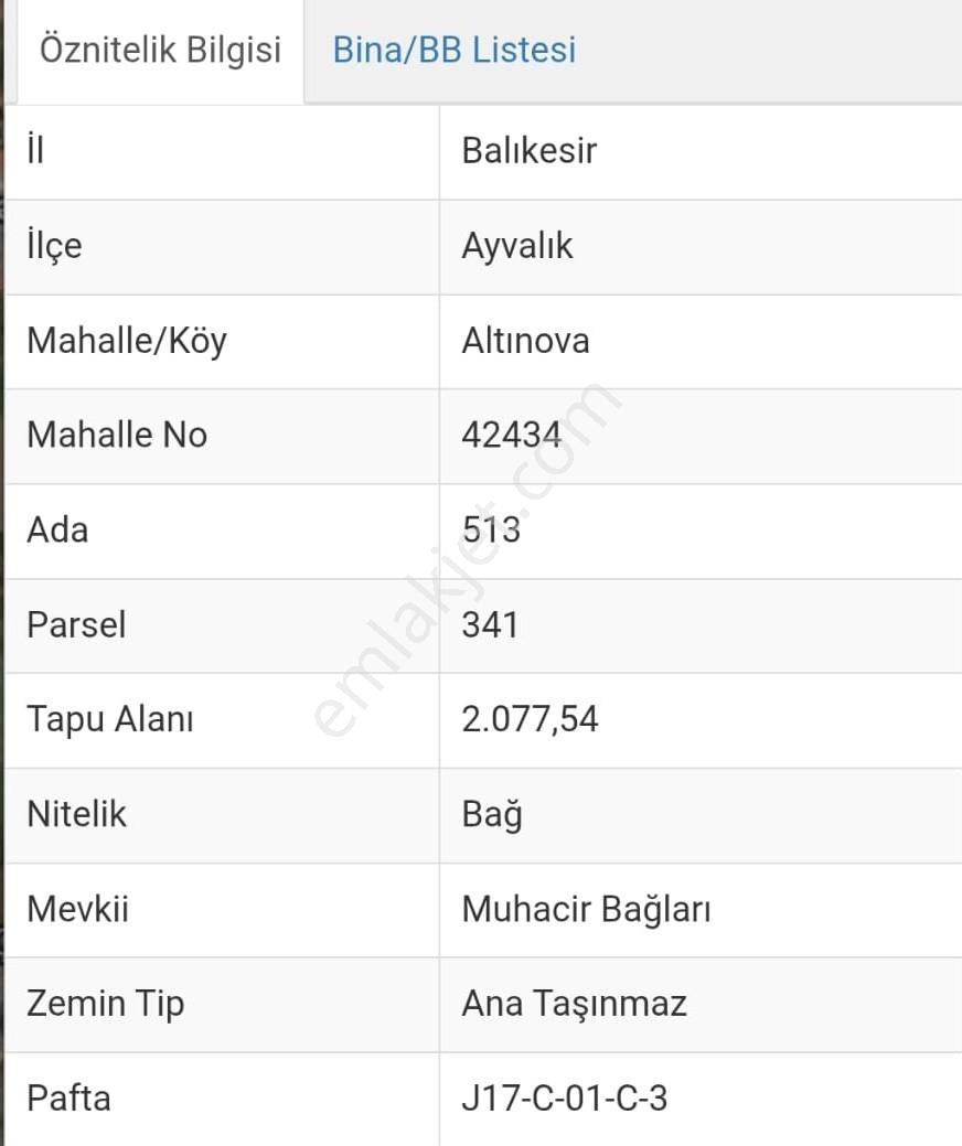 Ayvalık Altınovada 12.500 M2 Satılık Bağyeri - Görsel 3
