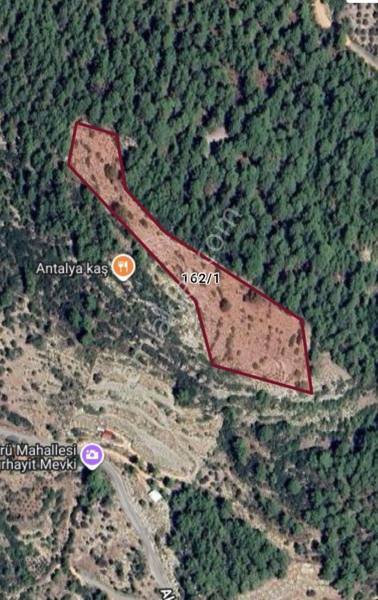 Antalya Kaş Akörüde Satılık 14.323 M² Bahçe Nitelikli Tarla - Görsel 2
