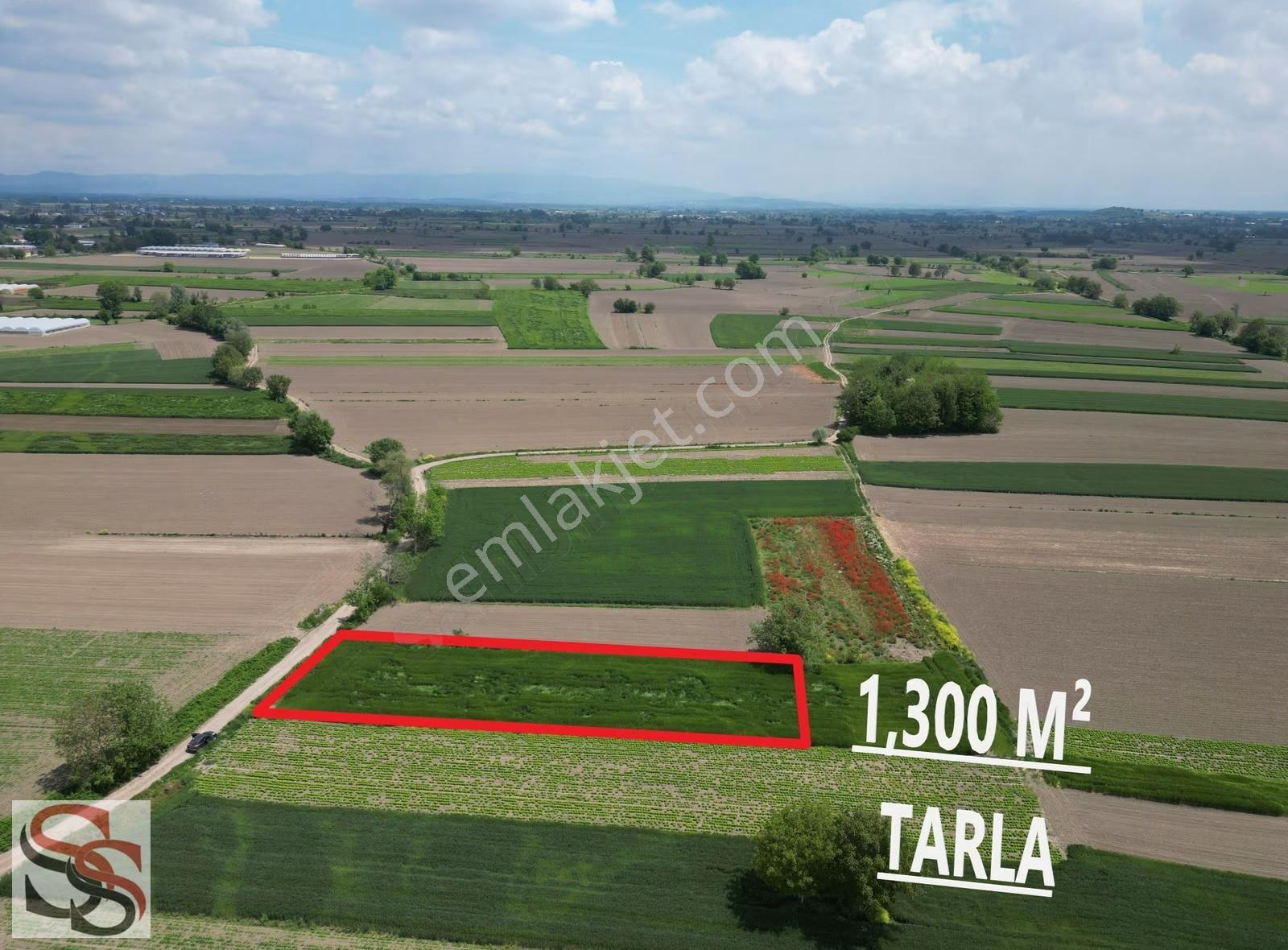 Taşlık Mahallesinde İmara 200 Metre 1,300 M² Yatırımlık Tarla - Görsel 9