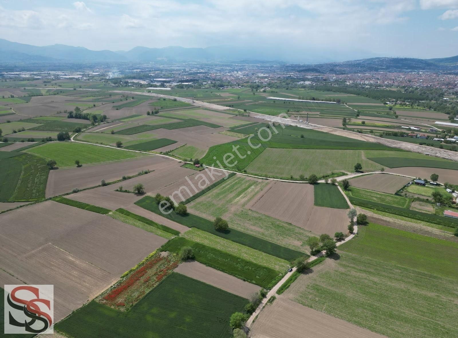 Taşlık Mahallesinde İmara 200 Metre 1,300 M² Yatırımlık Tarla - Görsel 4