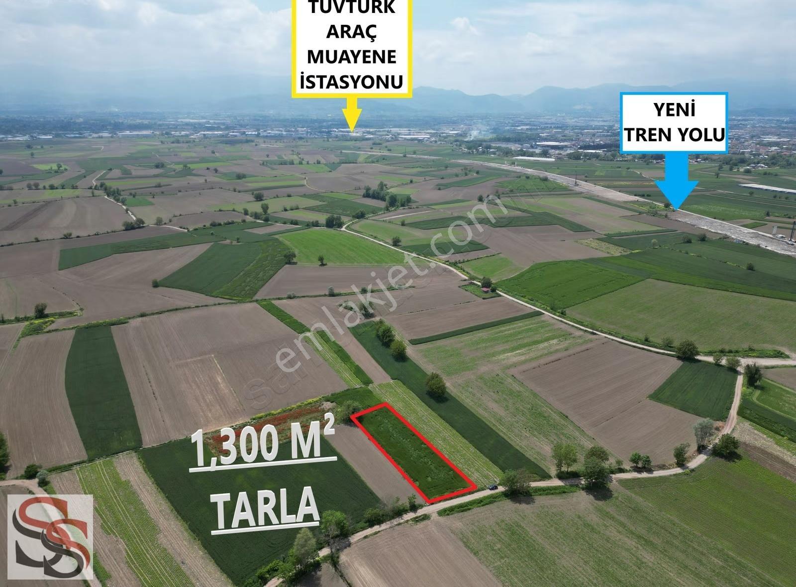 Taşlık Mahallesinde İmara 200 Metre 1,300 M² Yatırımlık Tarla - Görsel 14