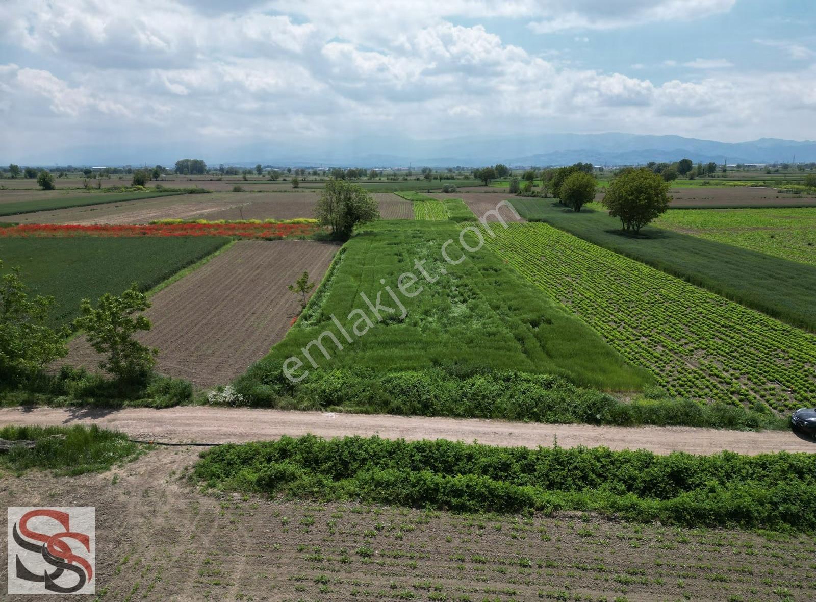Taşlık Mahallesinde İmara 200 Metre 1,300 M² Yatırımlık Tarla - Görsel 3