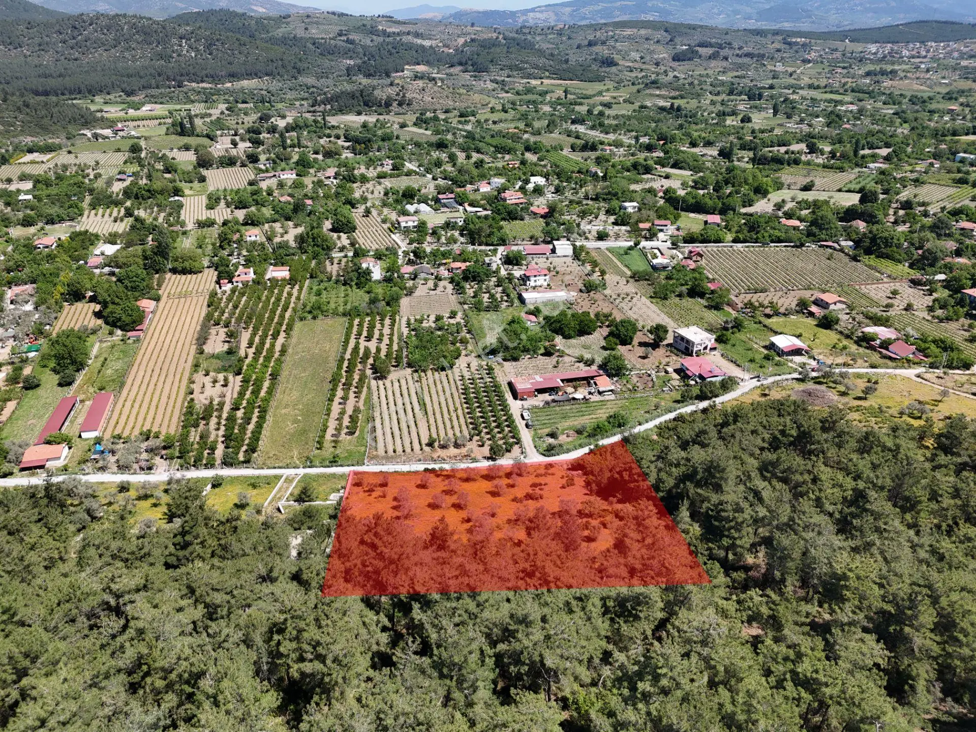 Kuşadası Kirazlı Köyünde Satılık 5740 M2 Tarla