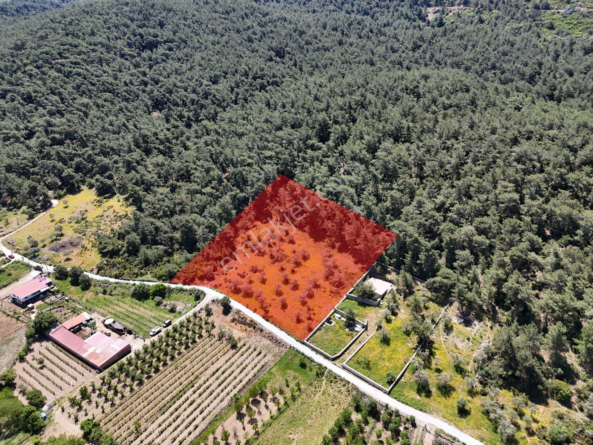 Kuşadası Kirazlı Köyünde Satılık 5740 M2 Tarla - Görsel 6