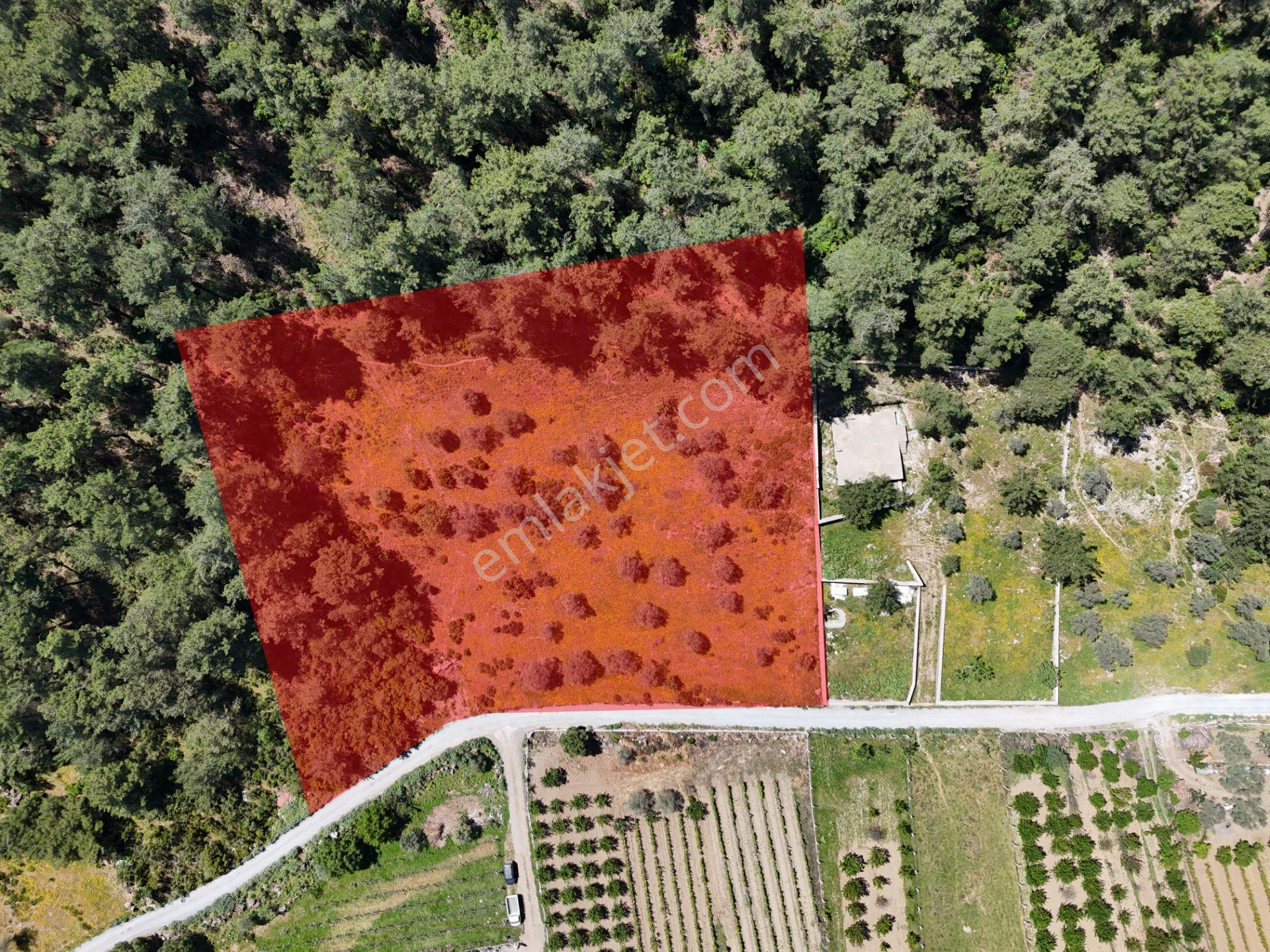 Kuşadası Kirazlı Köyünde Satılık 5740 M2 Tarla - Görsel 2