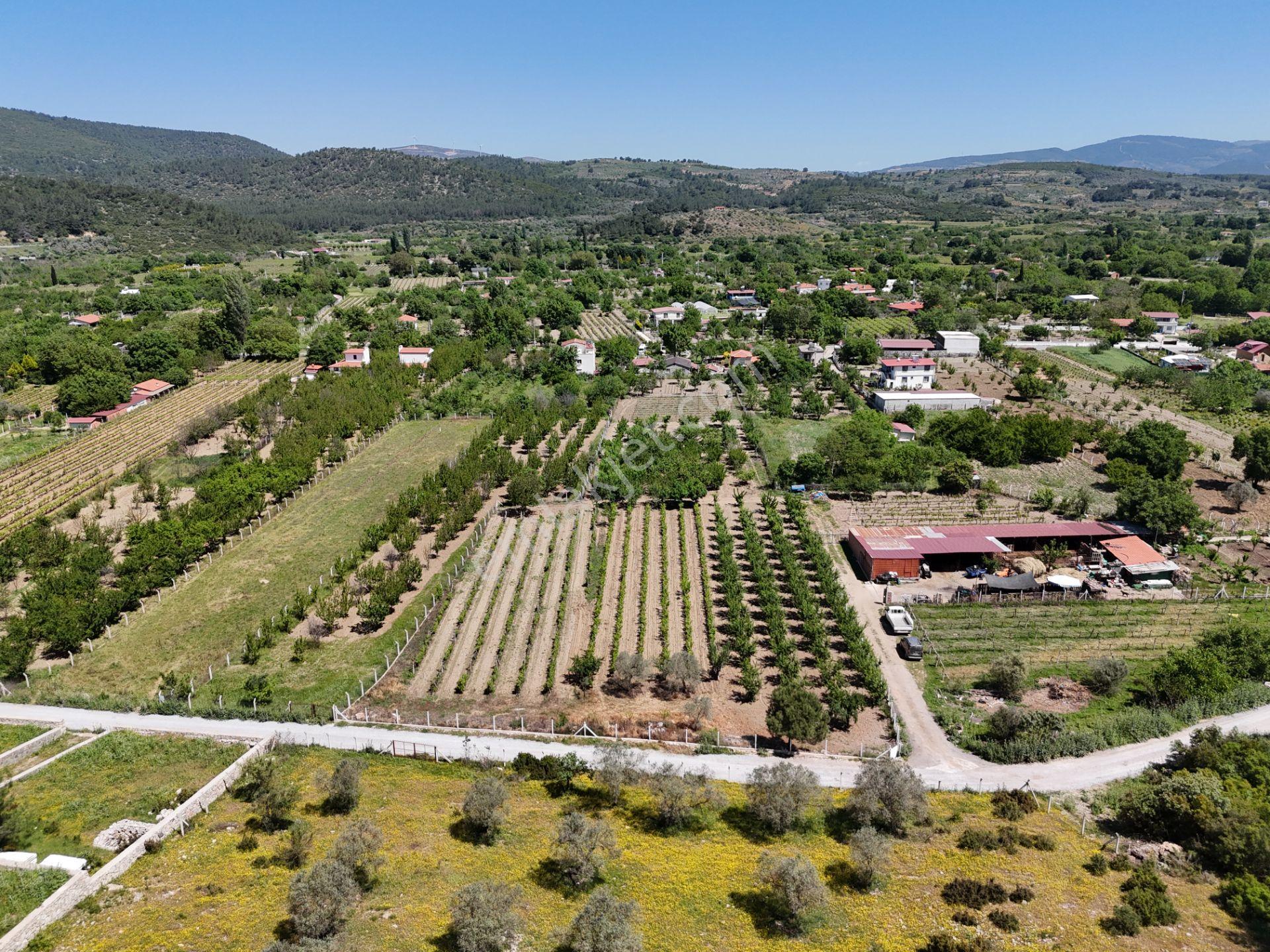 Kuşadası Kirazlı Köyünde Satılık 5740 M2 Tarla - Görsel 5